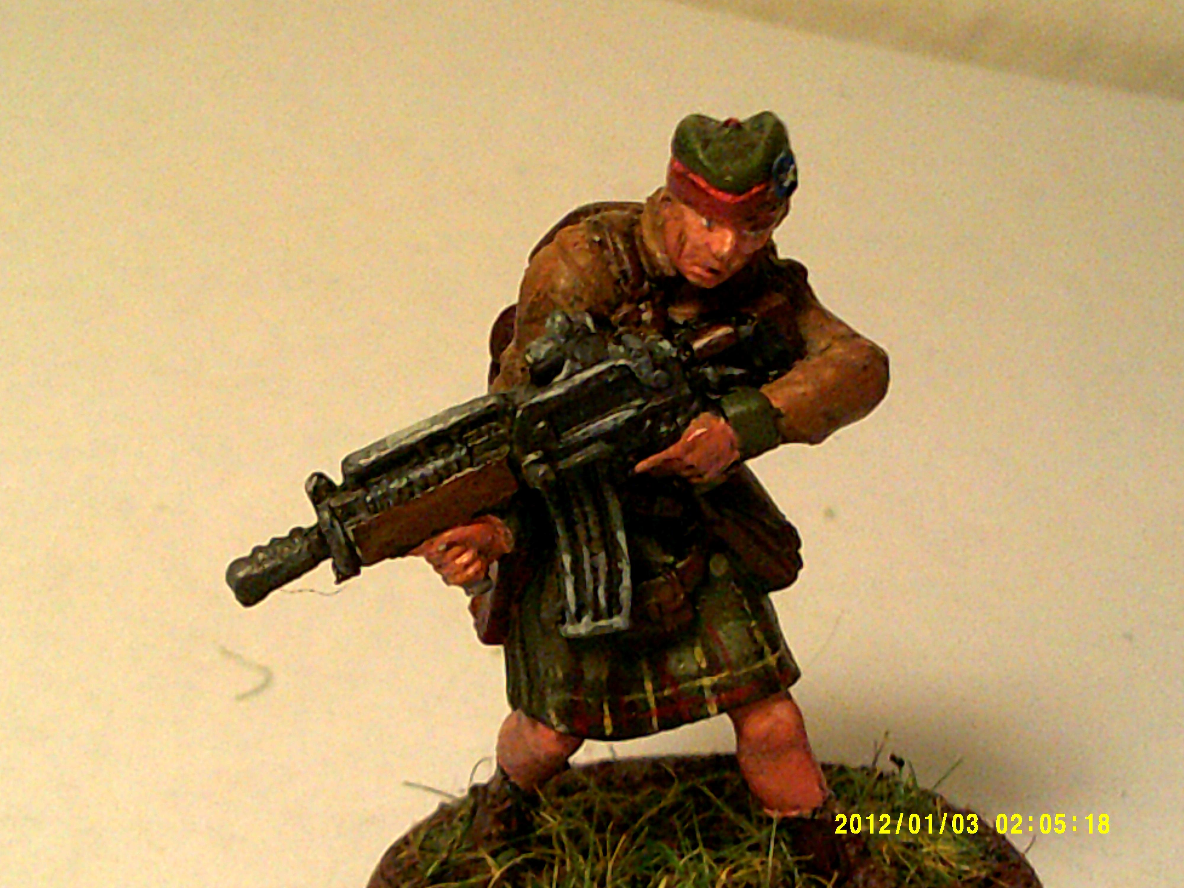 Caledonian volunteer