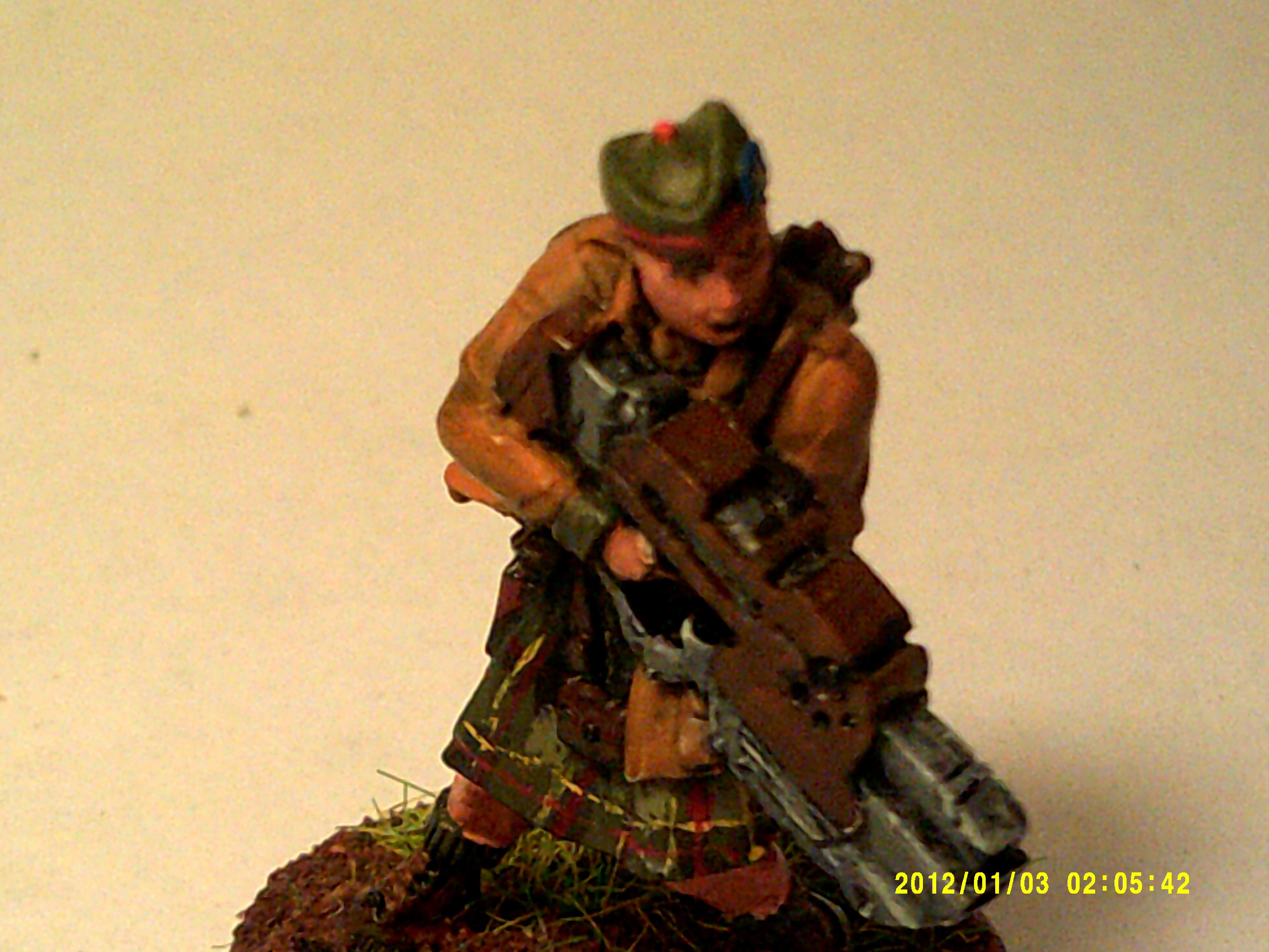 Caledonian volunteer 3