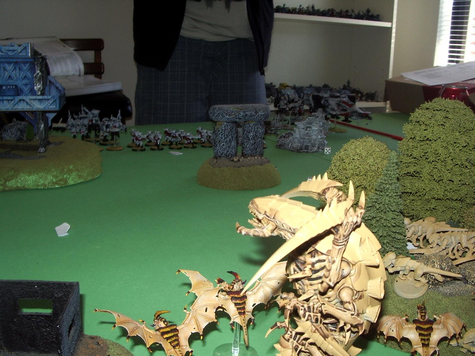 Setup - Trygon View