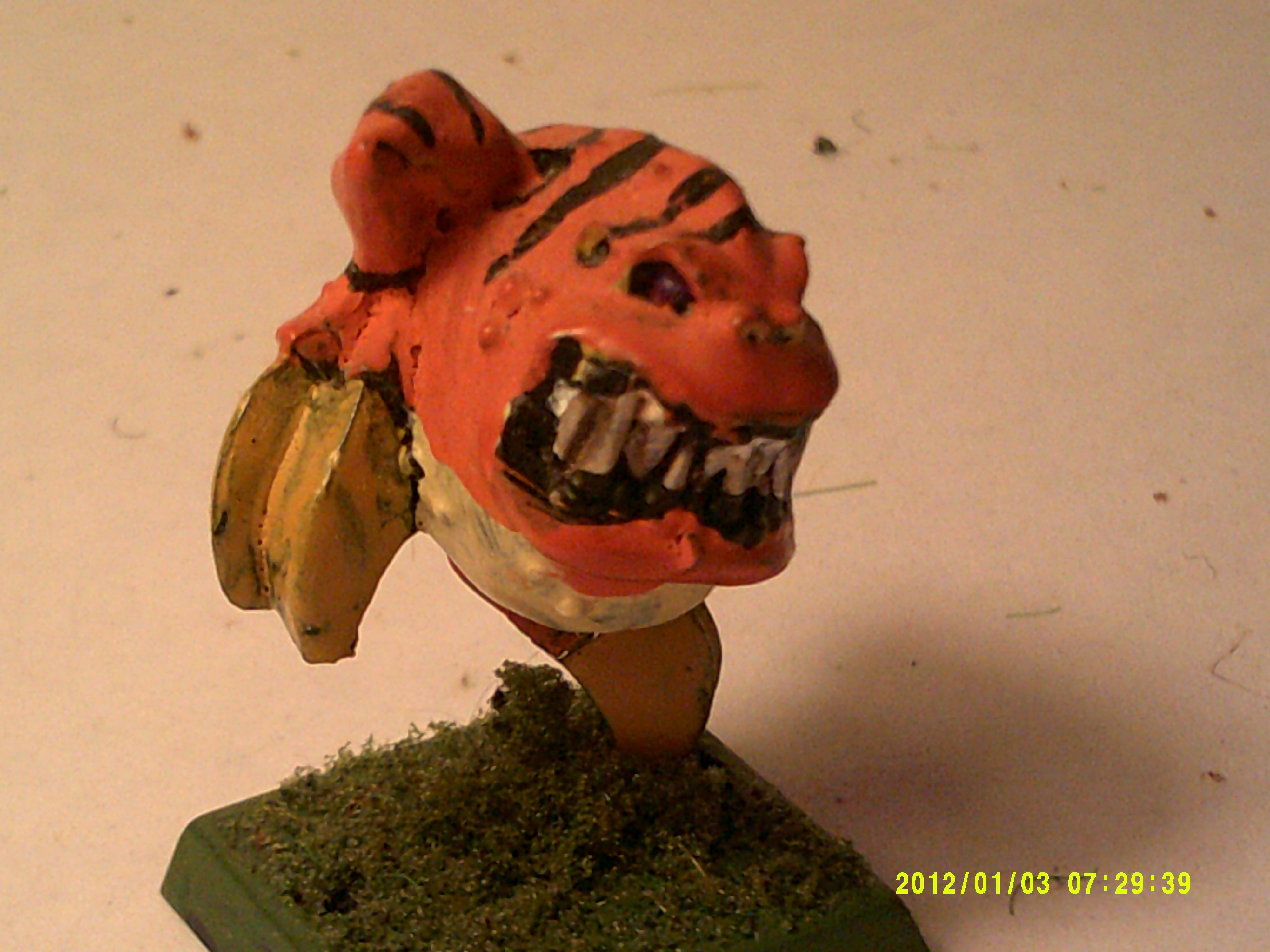 Tiger Squig