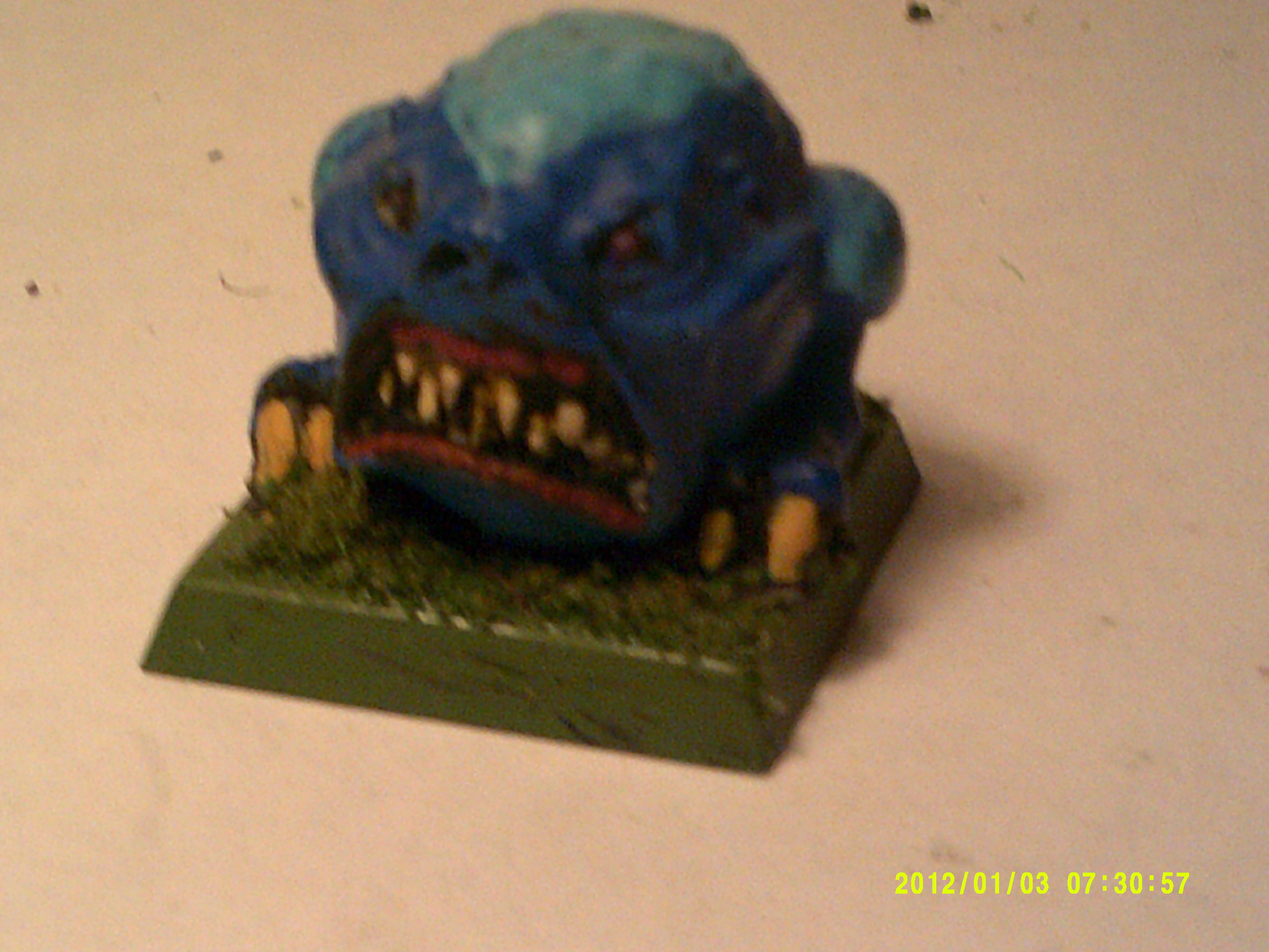 Icy Squig