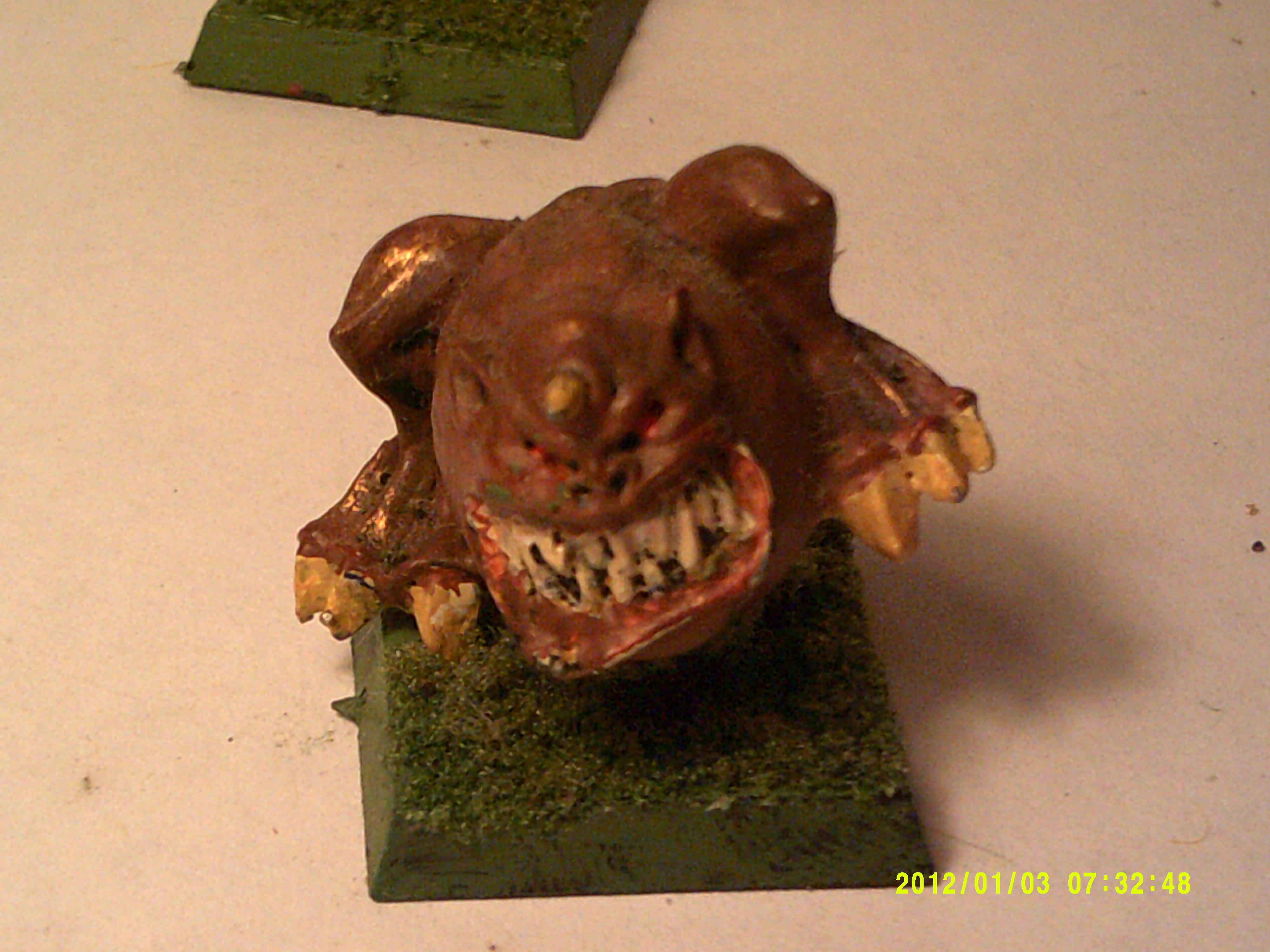 toad squig