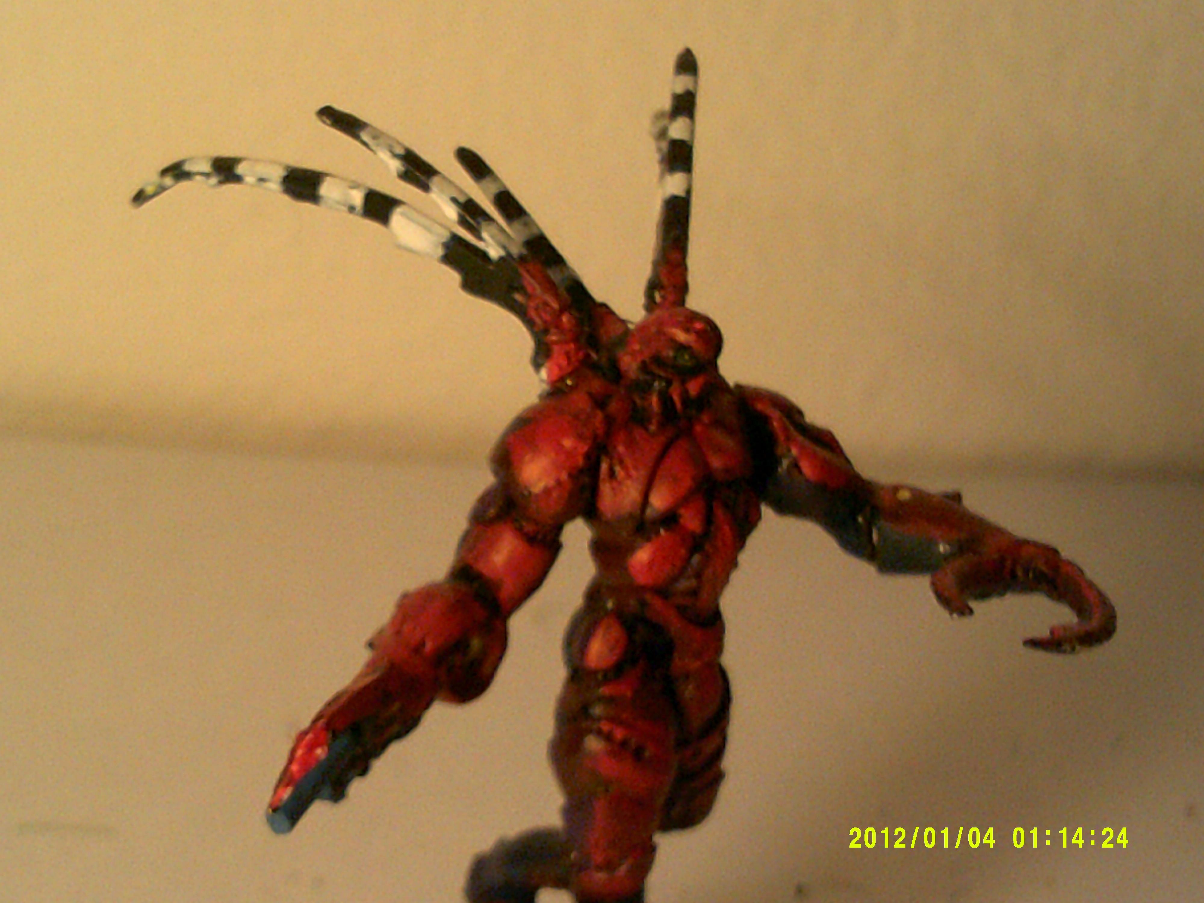 Lobster man