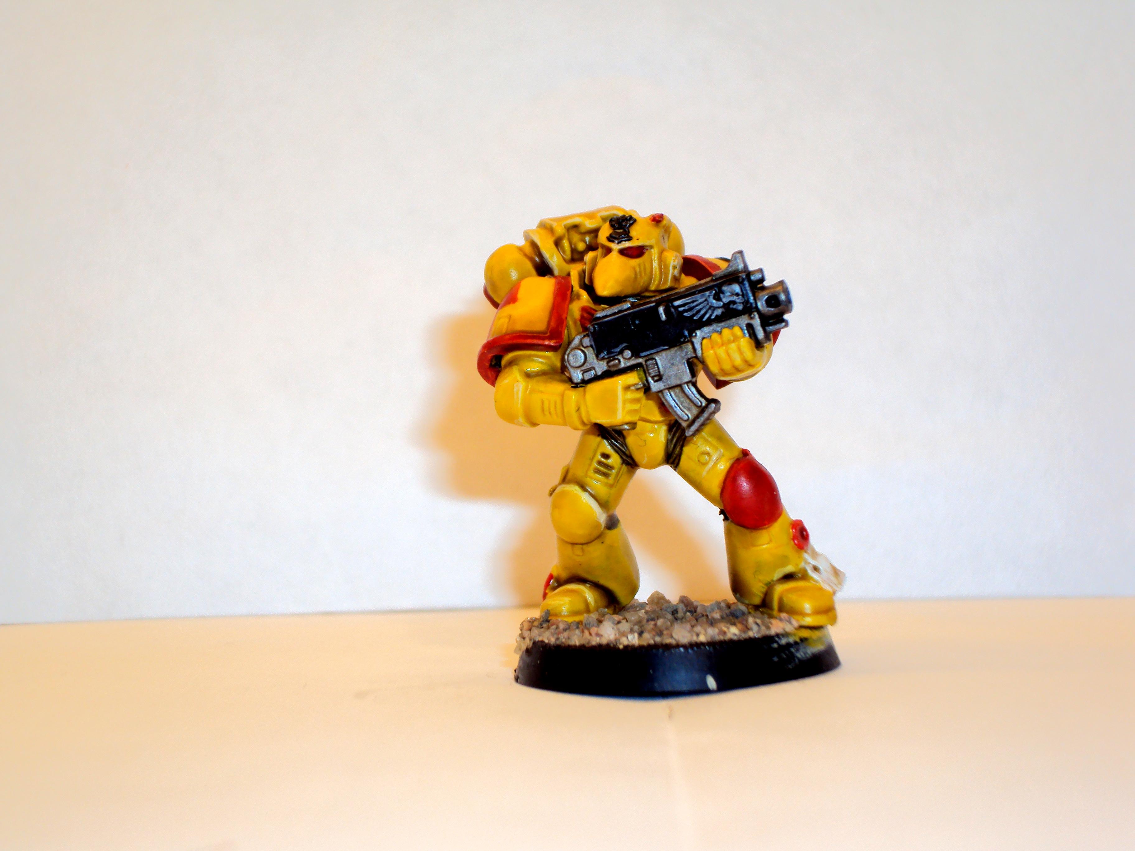 Imperial fist marine 