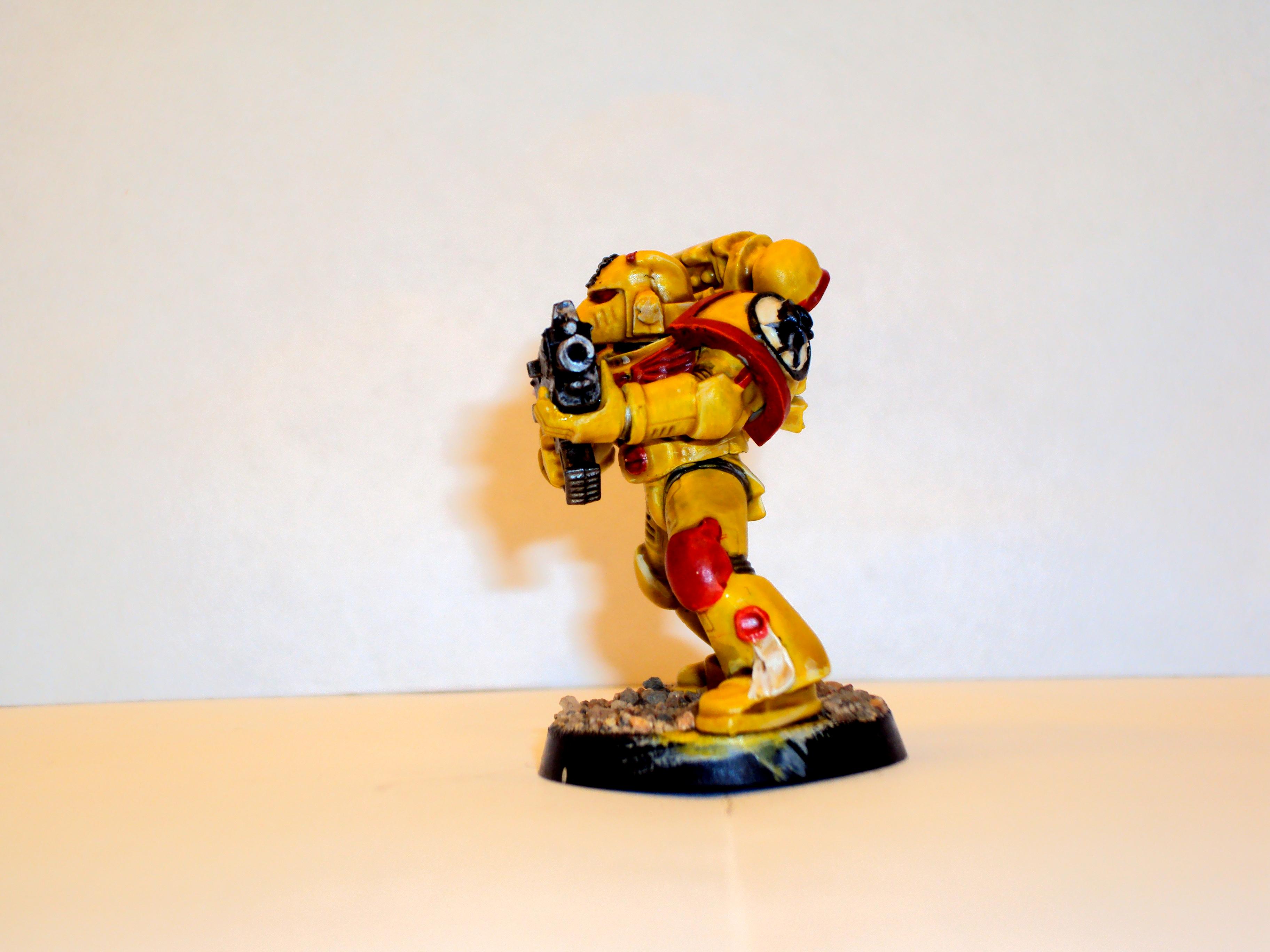 Imperial fist marine 2