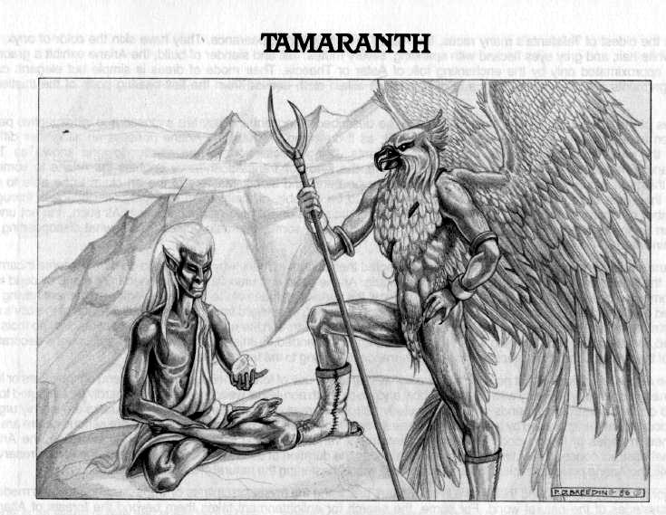 Retro Review, Talislanta