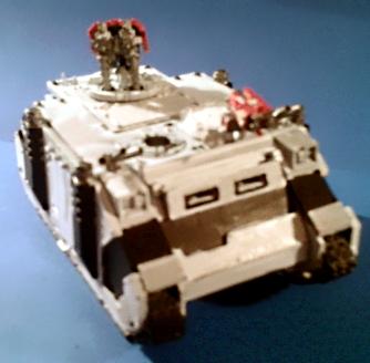 Dead Scar rhino view 1