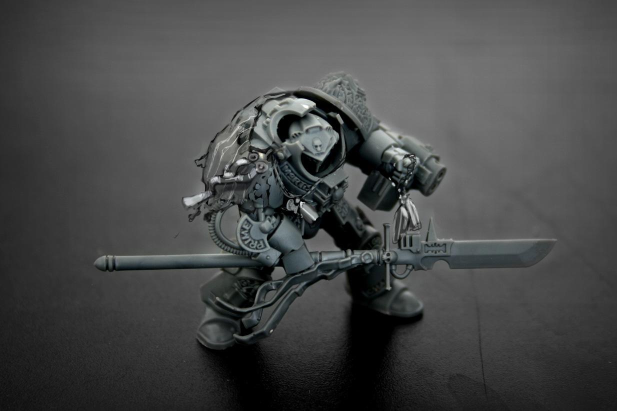 Gk, Paladin, Terminator Armor, Thawn