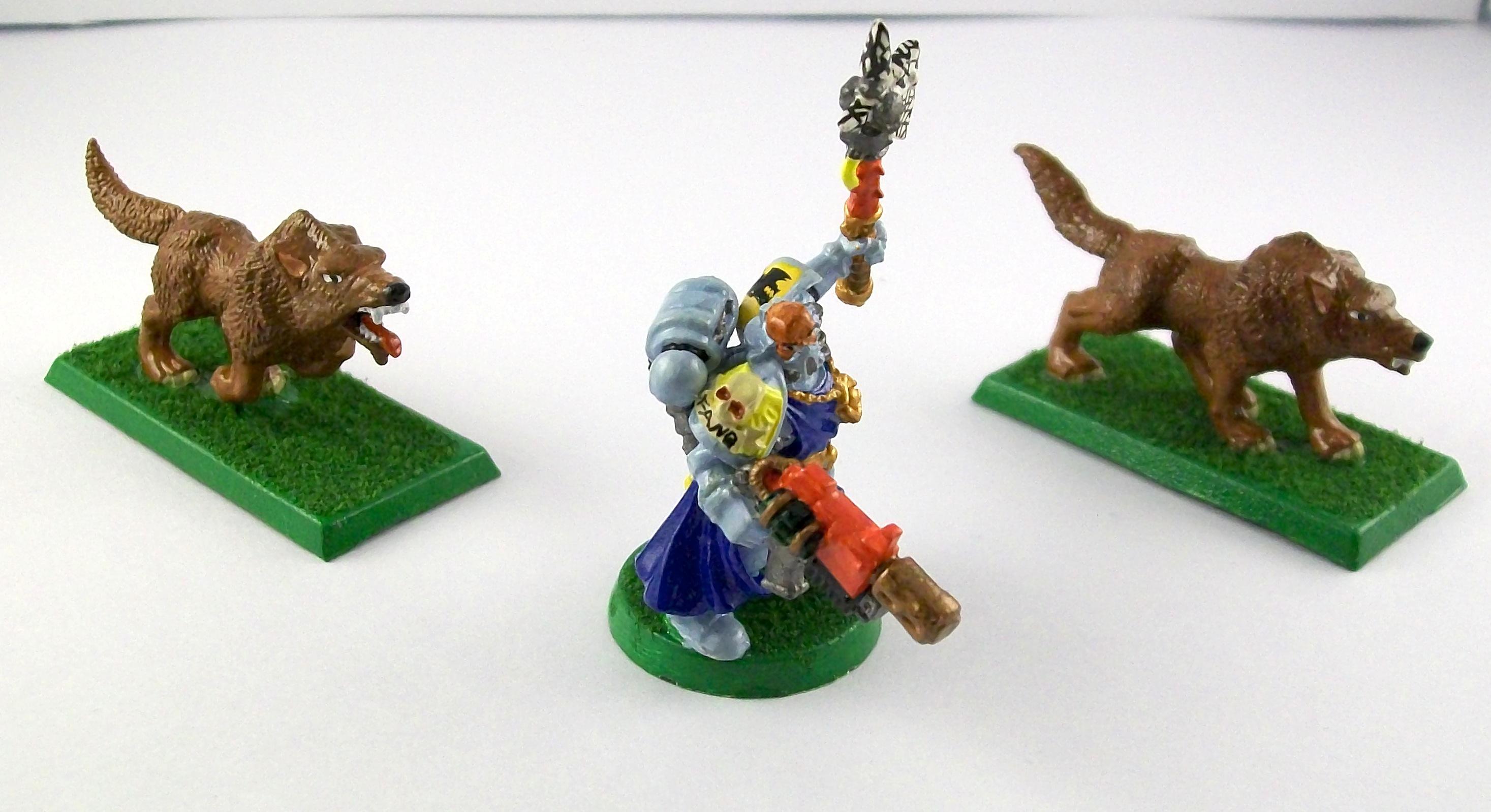 Wolves with Wolf Guard Leader