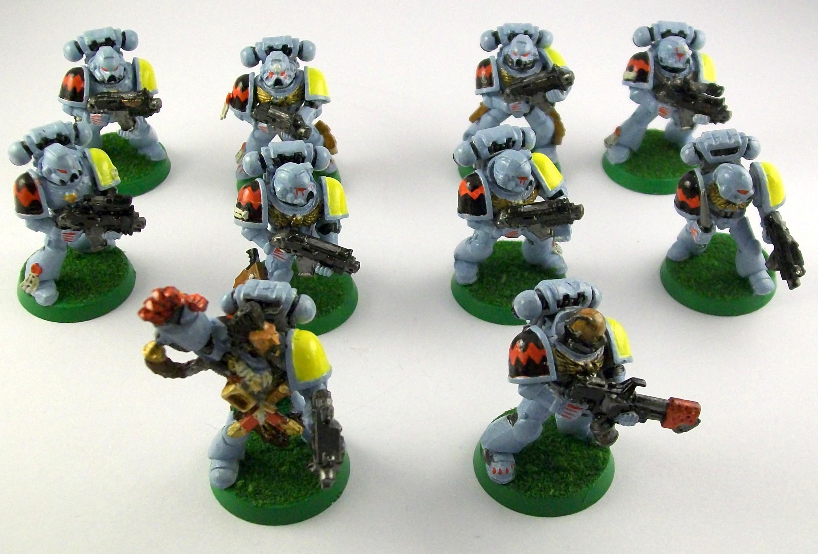 Grey Hunters, Space Wolves