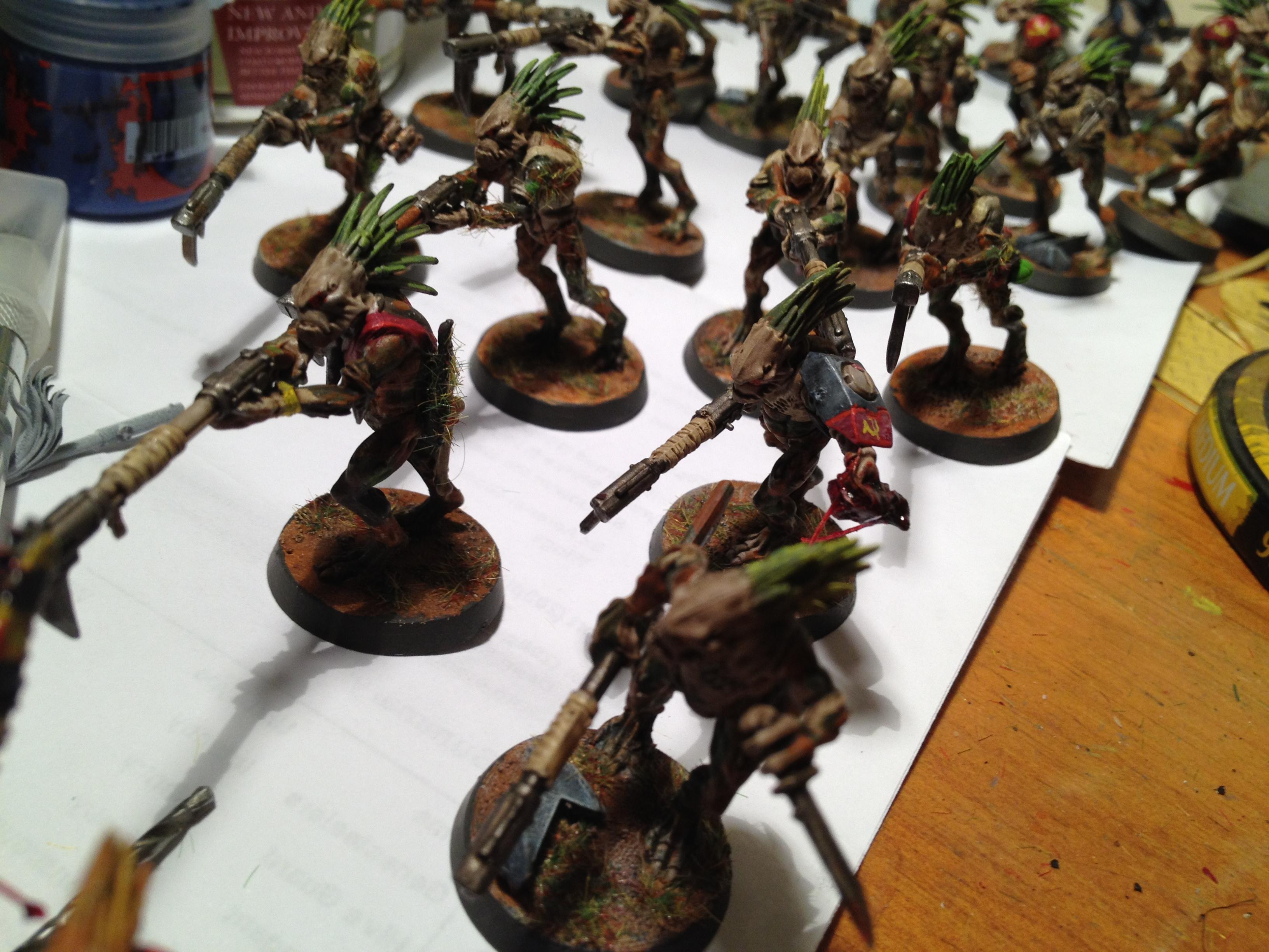 Close up on kroot