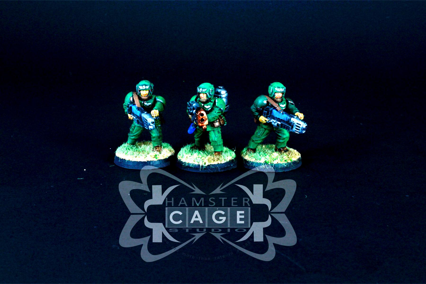 Cadians, Imperial Guard, Veteran