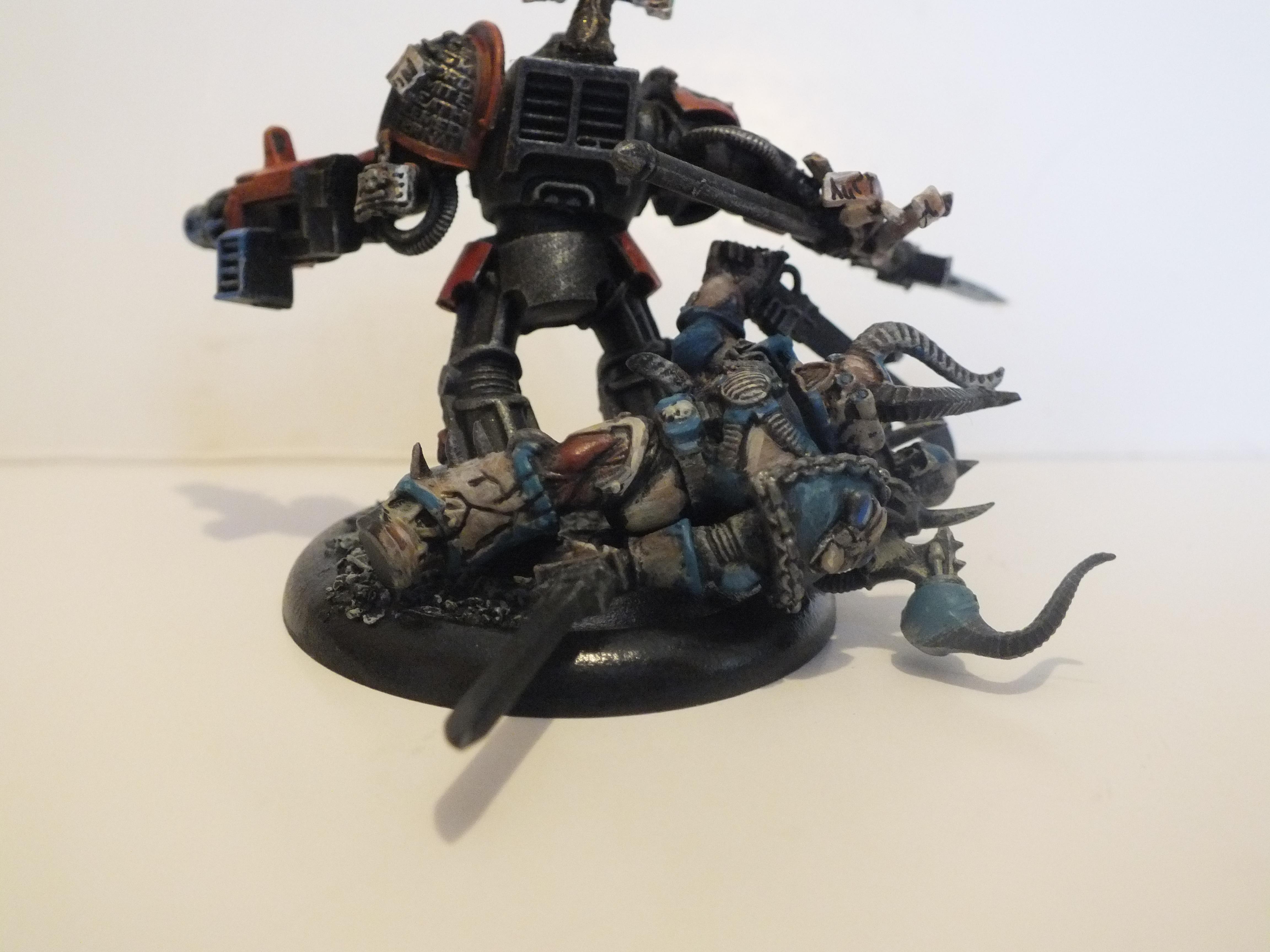 Grey Knights, Paladin