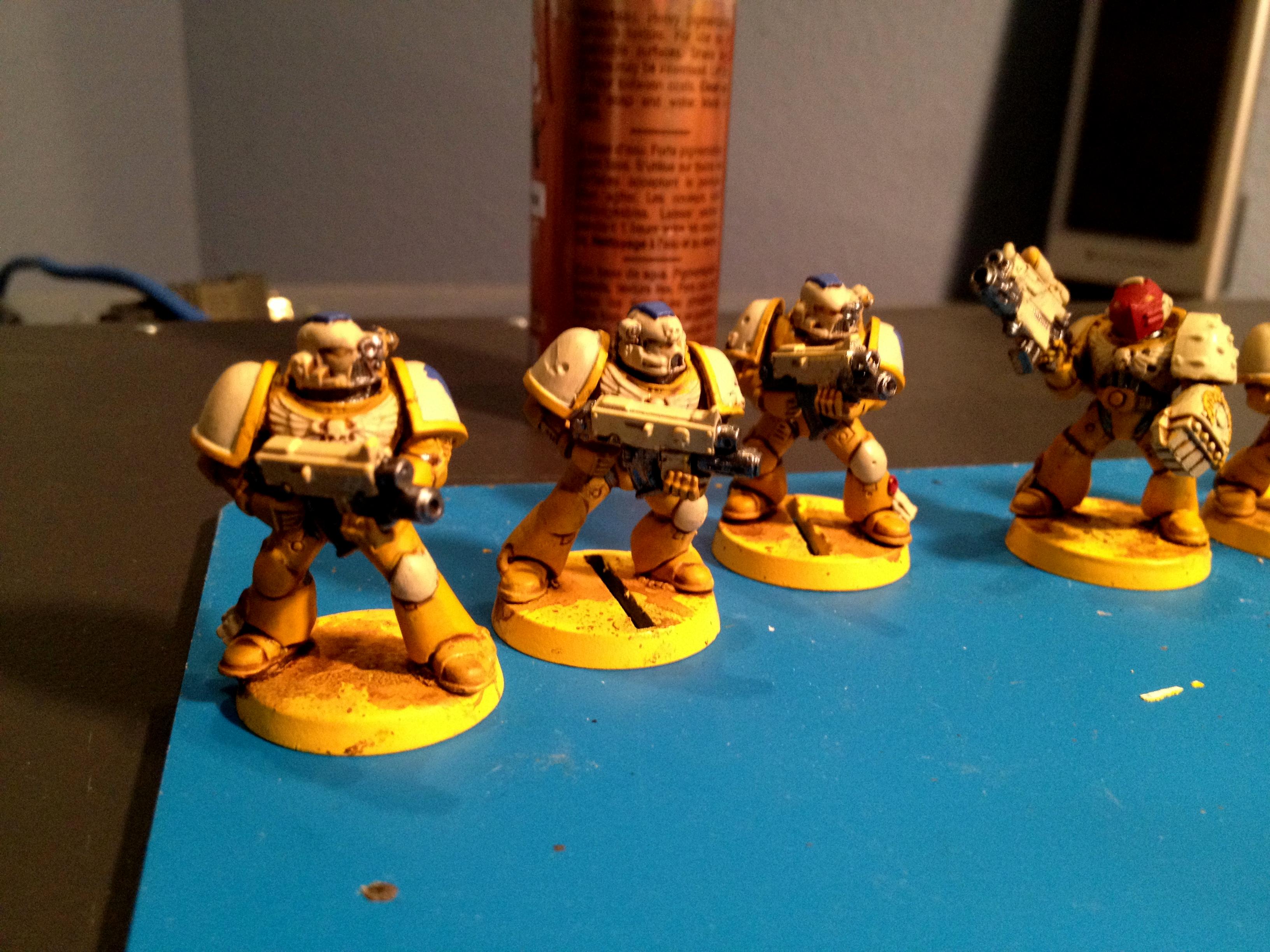 Sternguard WIP