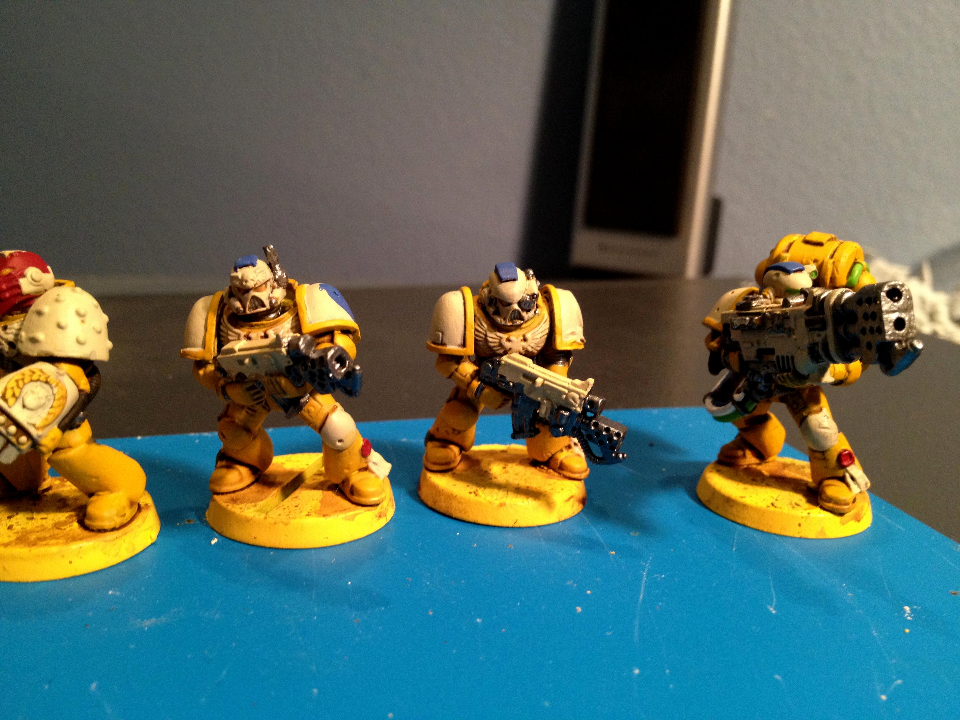 Sternguard WIP