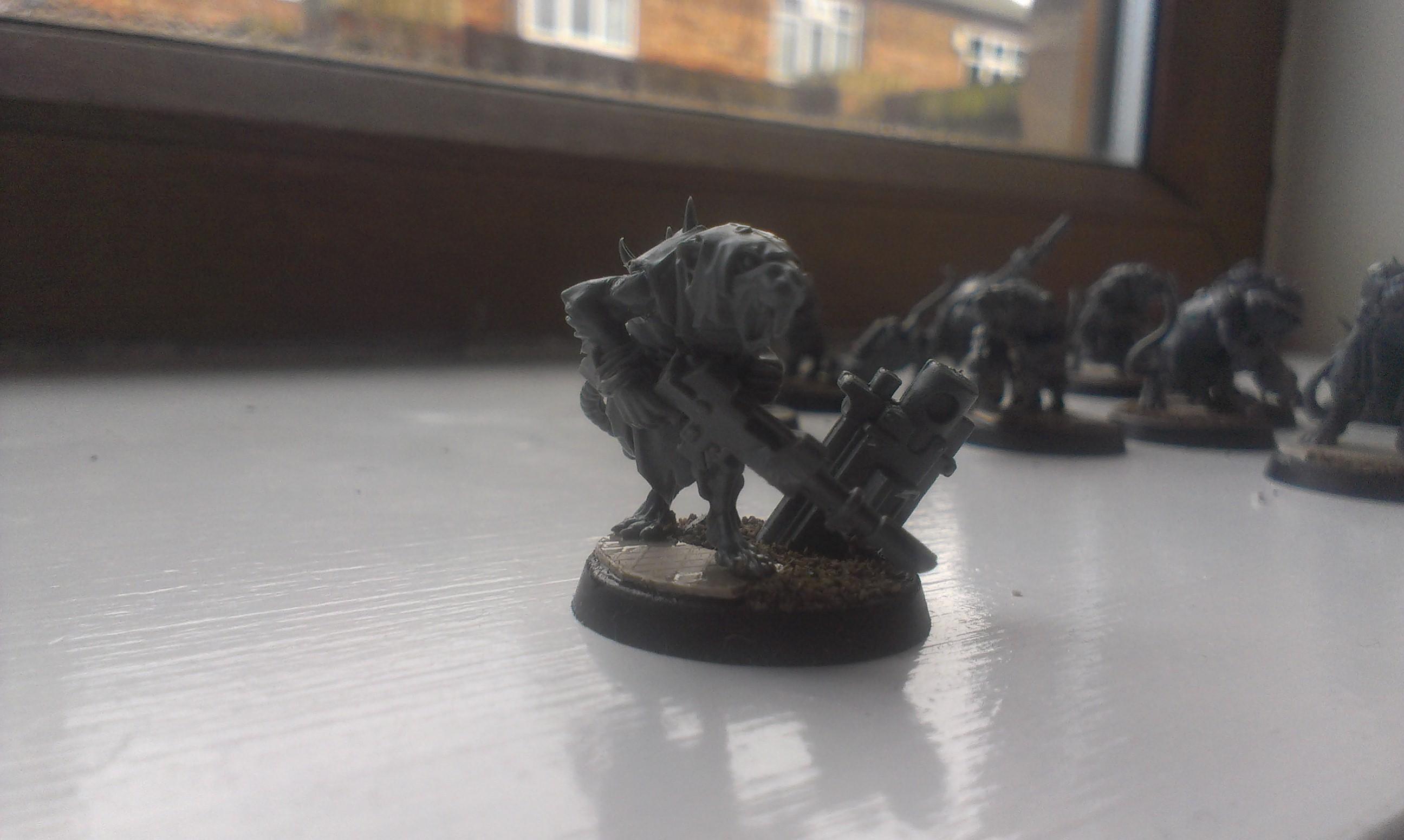 Chaos, Guard, Nurgle, Renegade