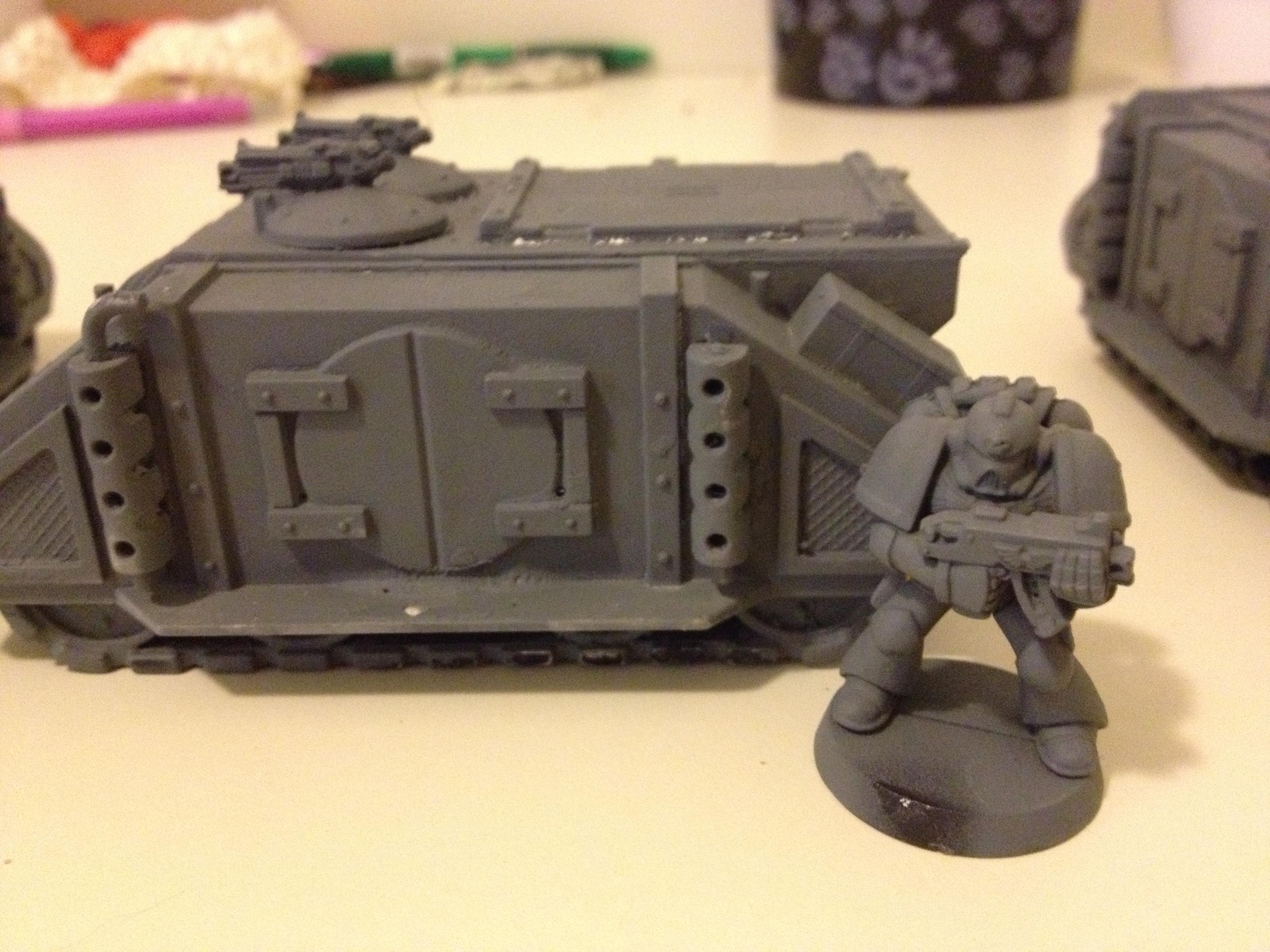 Rhino, Rogue Trader