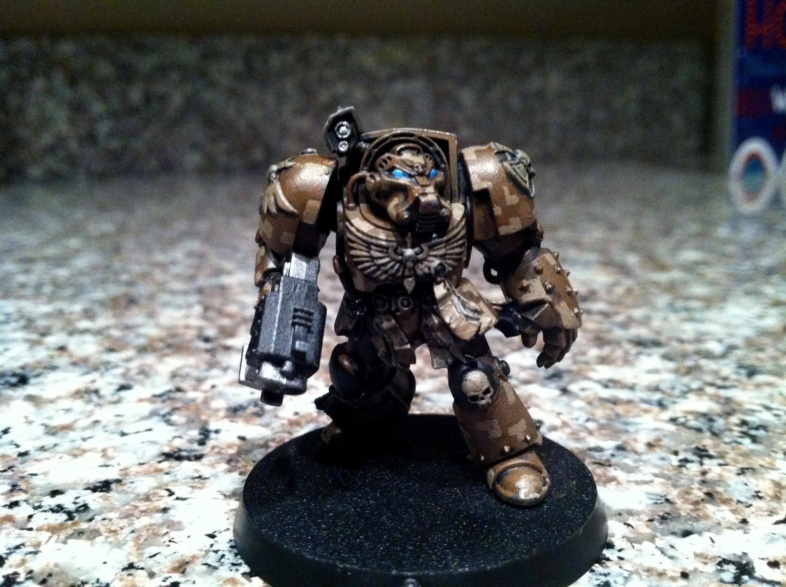 Space Marines Terminator