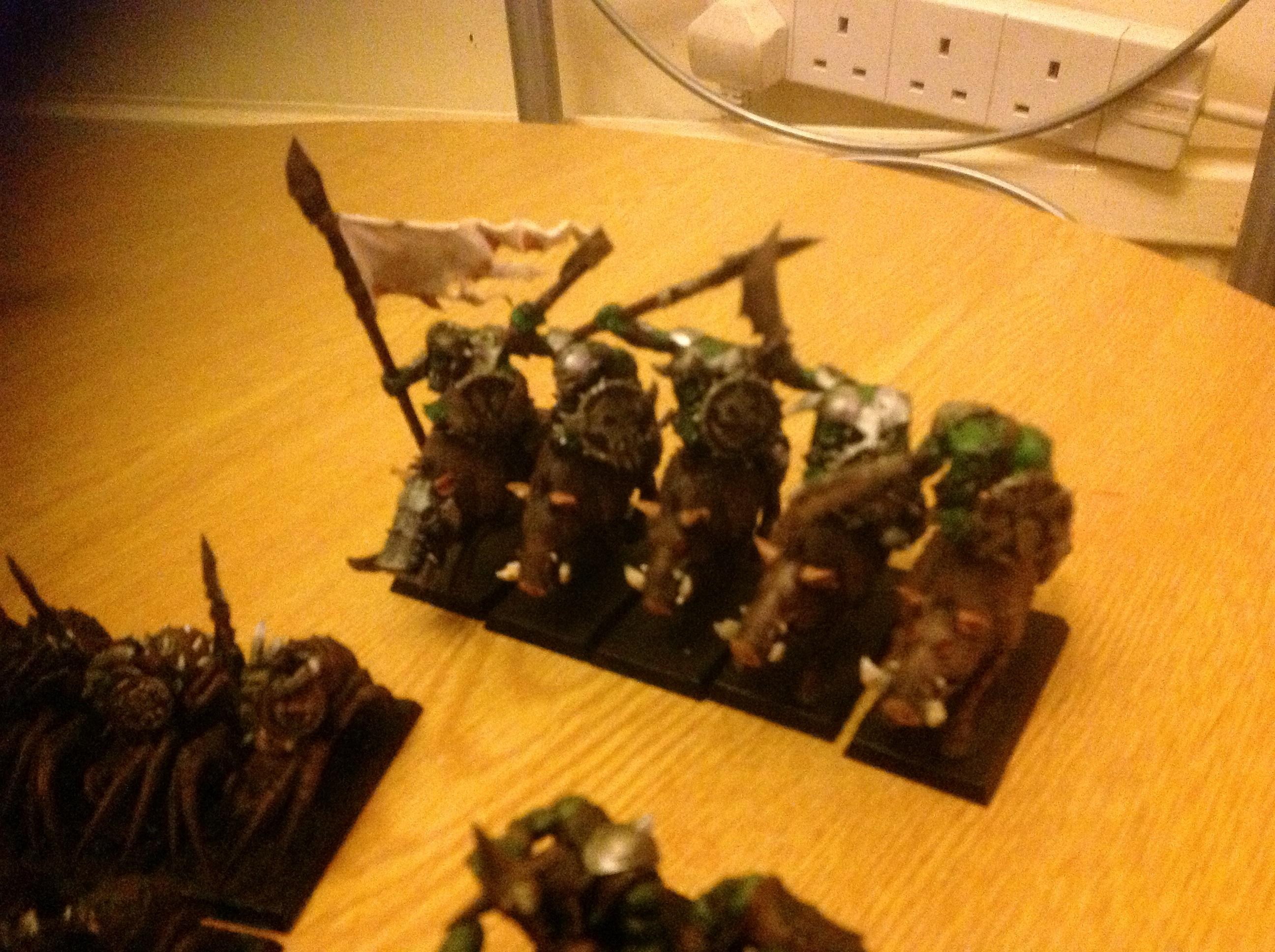 Warhammer Fantasy Boar Riders