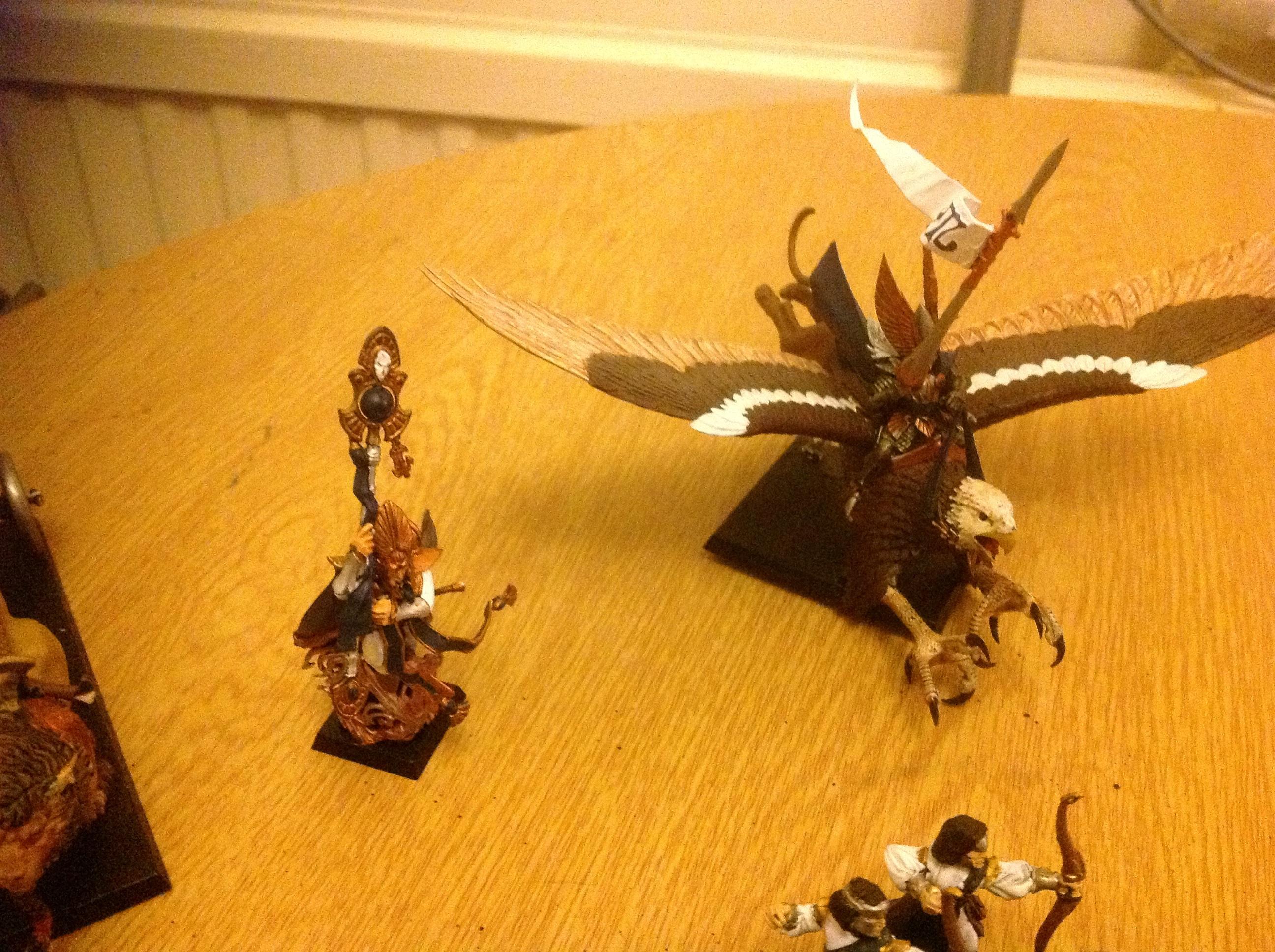 Warhammer Fantasy high Elf Mage and Prince