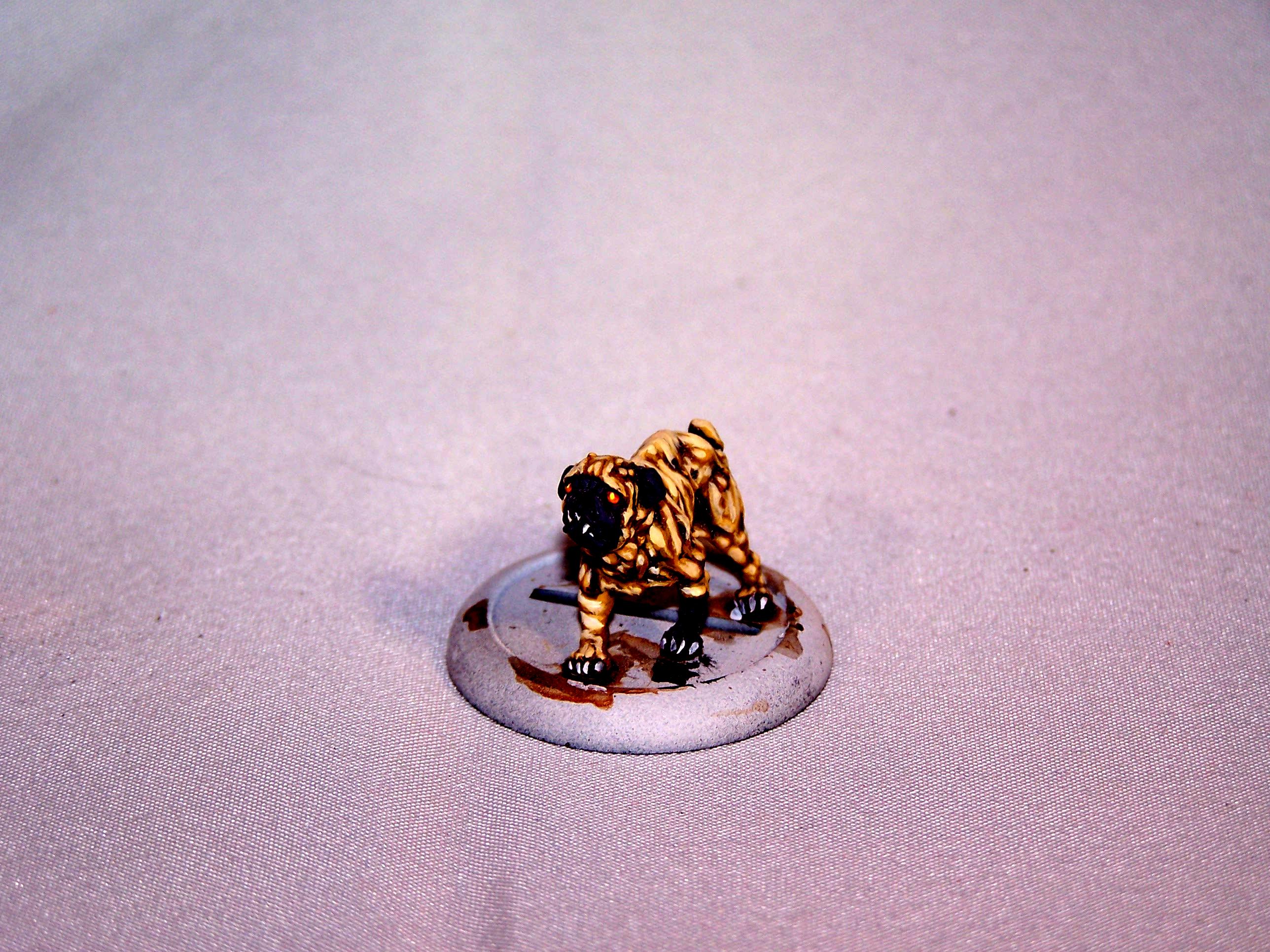 Malifaux, Malifaux Pug