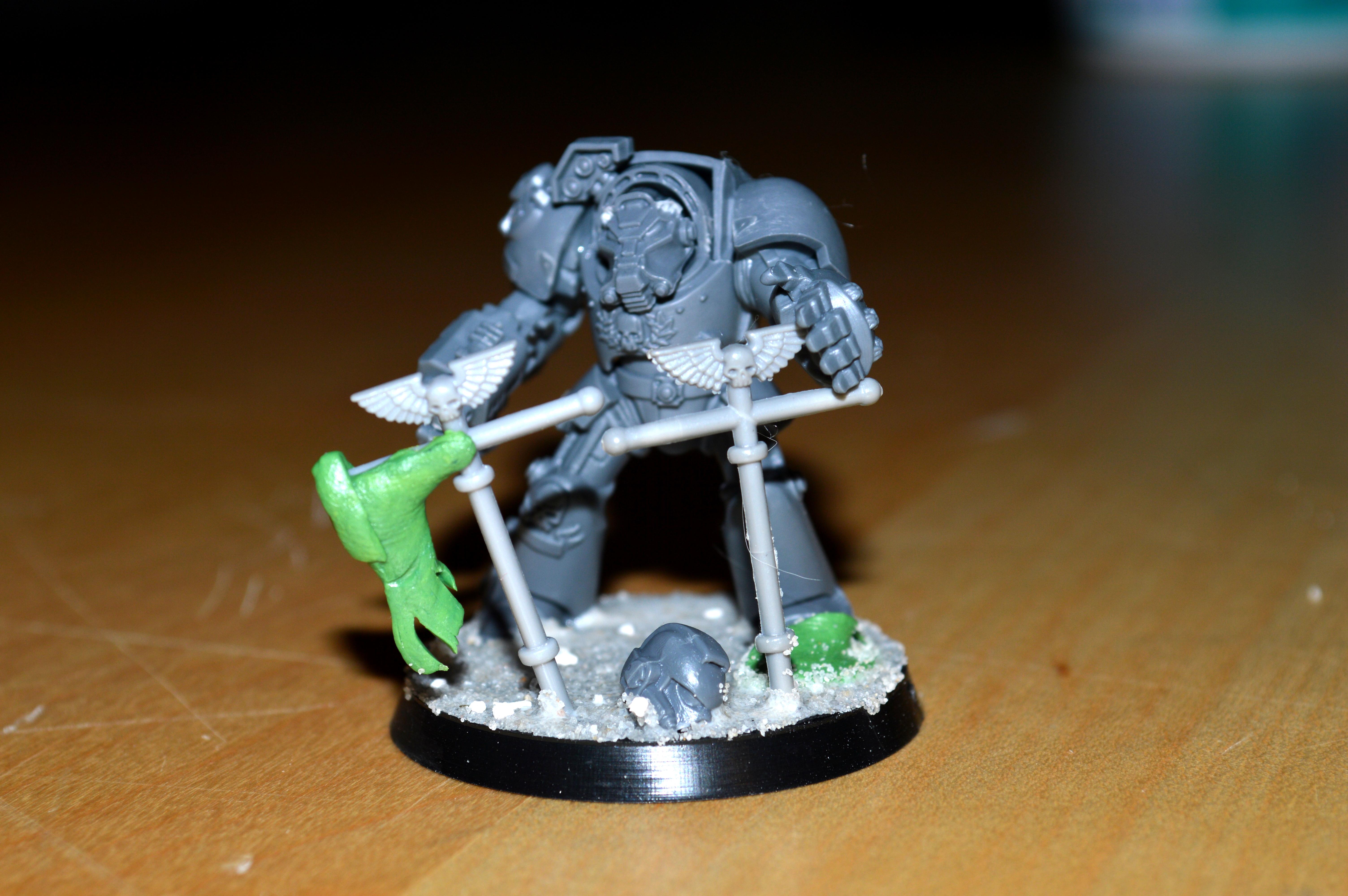 WIp Tiger Claw