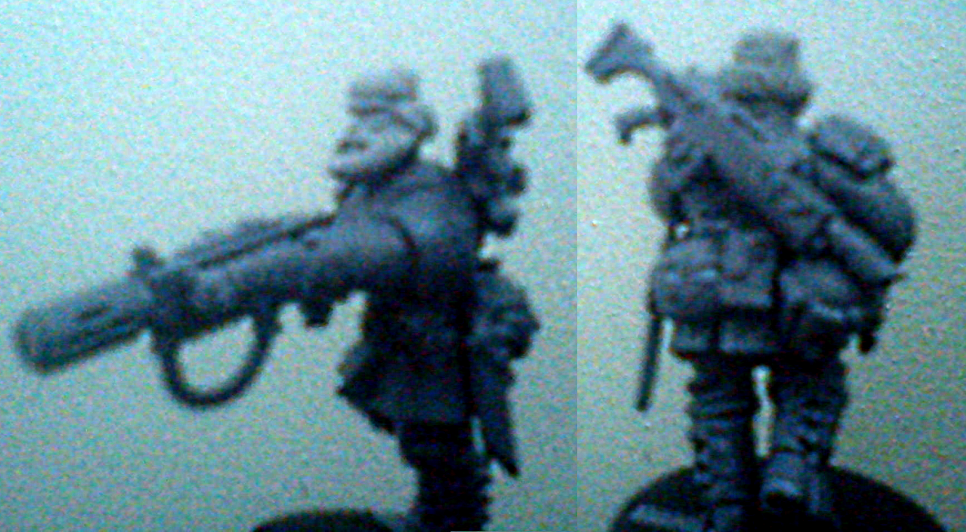 Swedesian Guard Veteran
