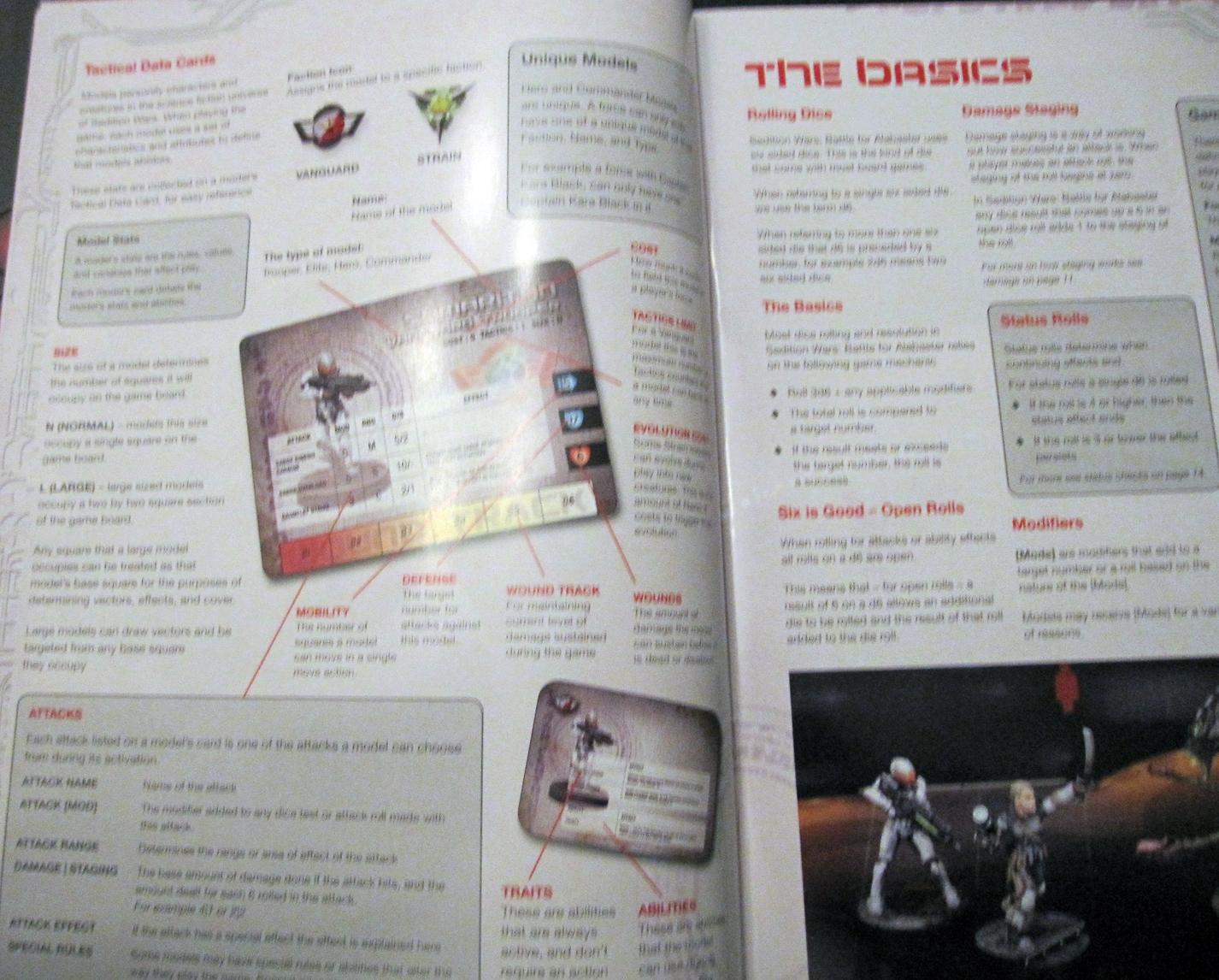book interior