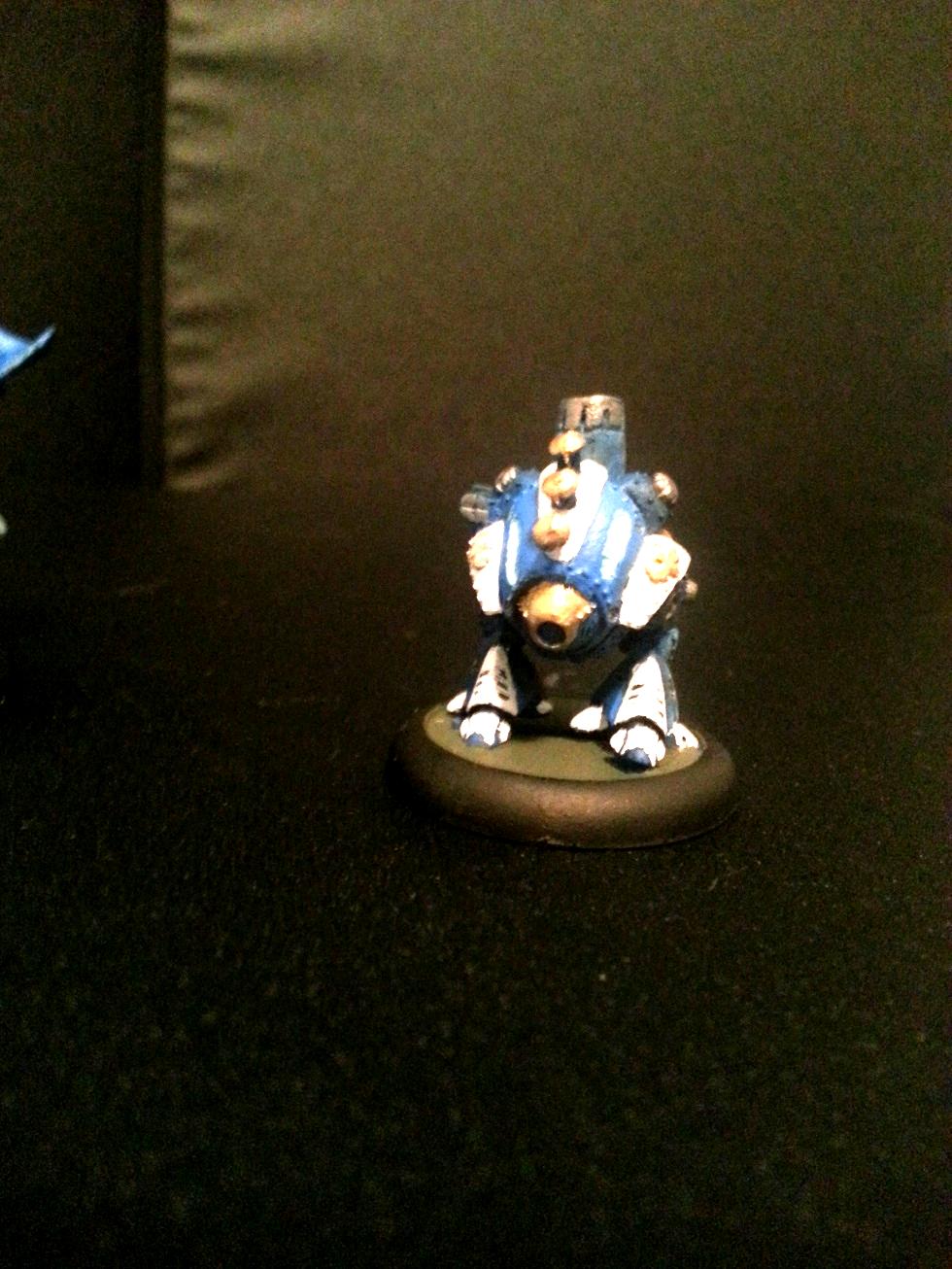 Cygnar Squirr