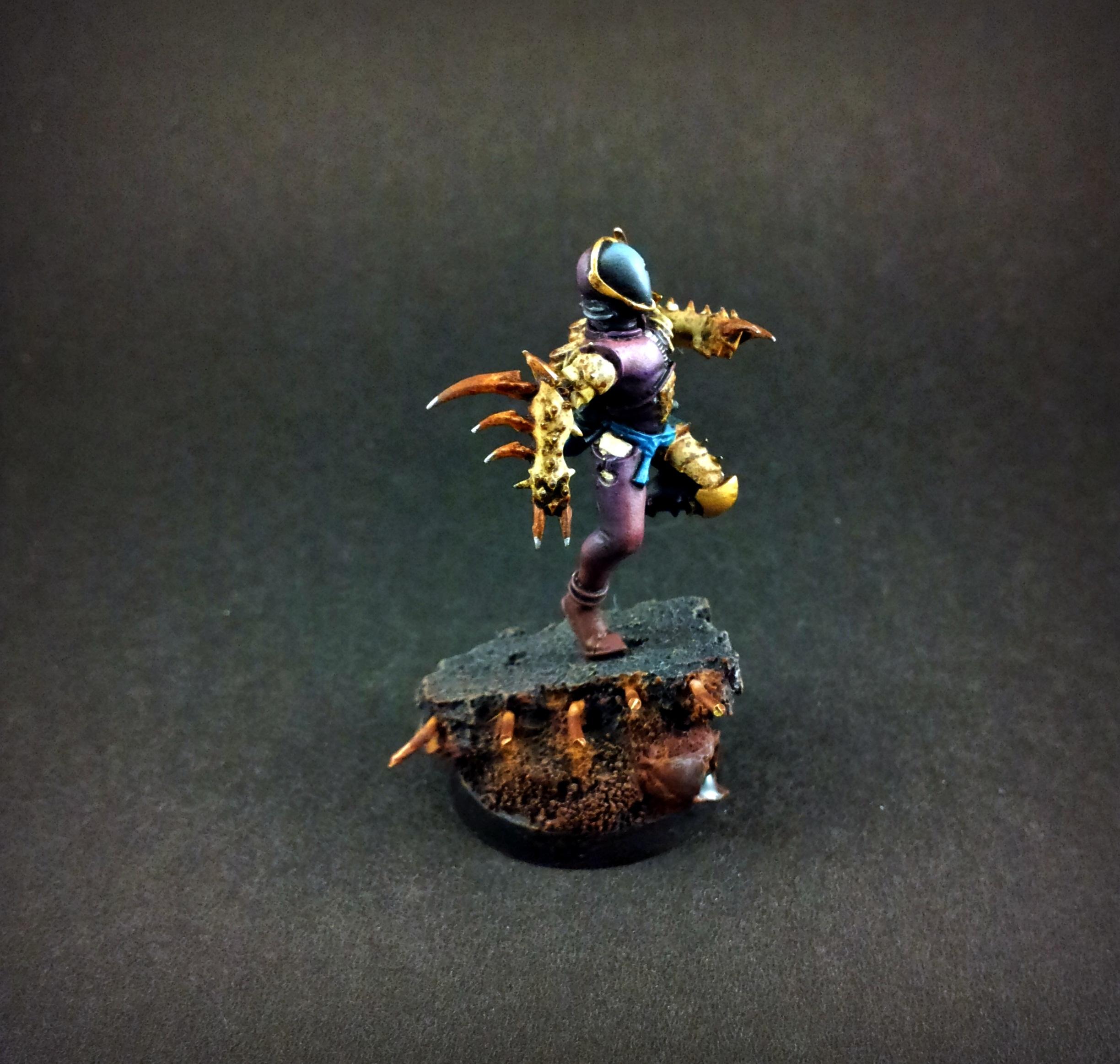 Dark Eldar, Drukarii, Wych