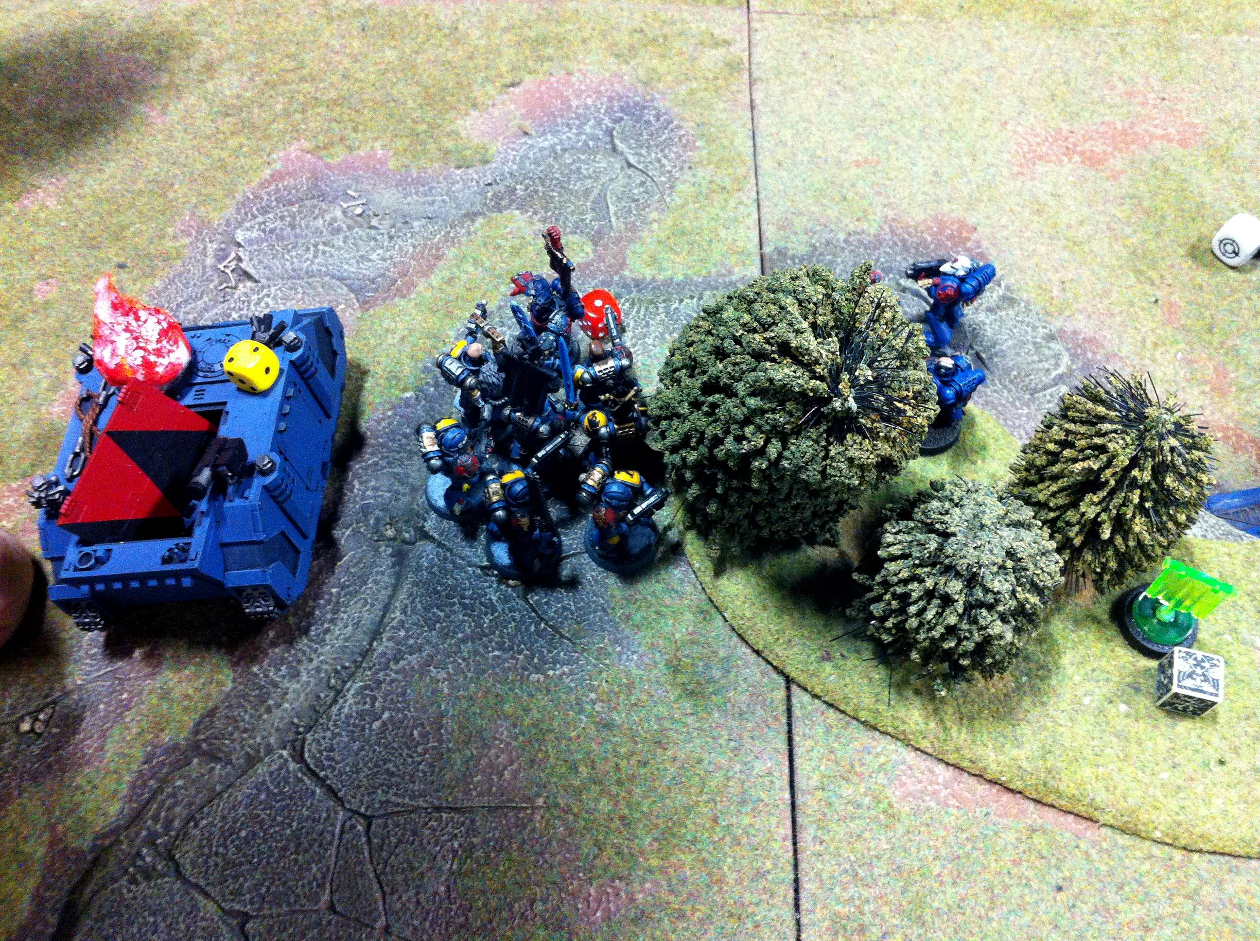 Battle Brothers, Warhammer World