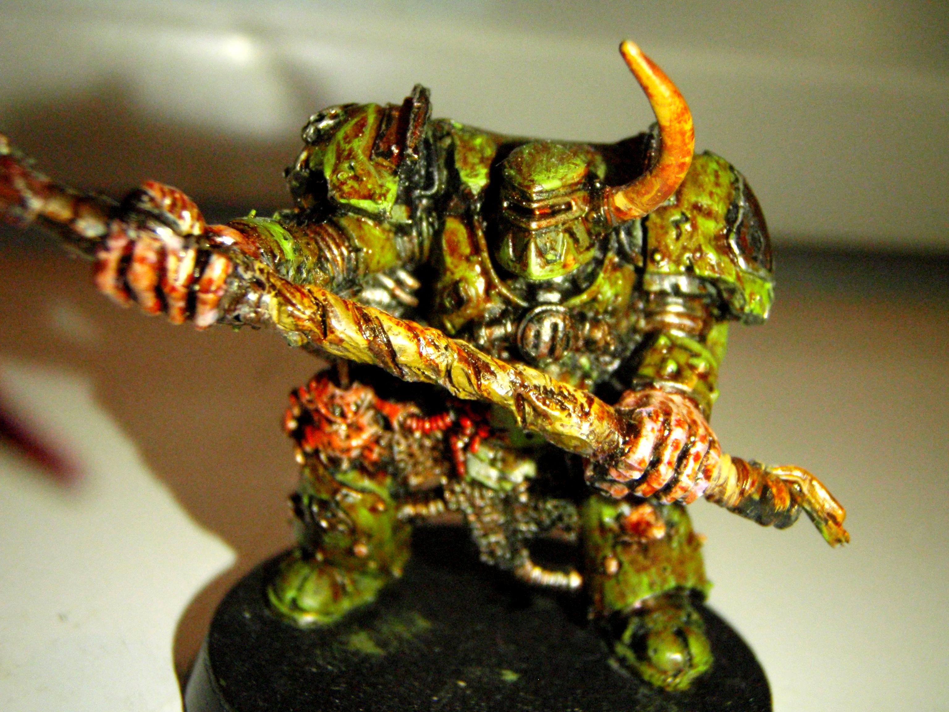 Typhus closeup
