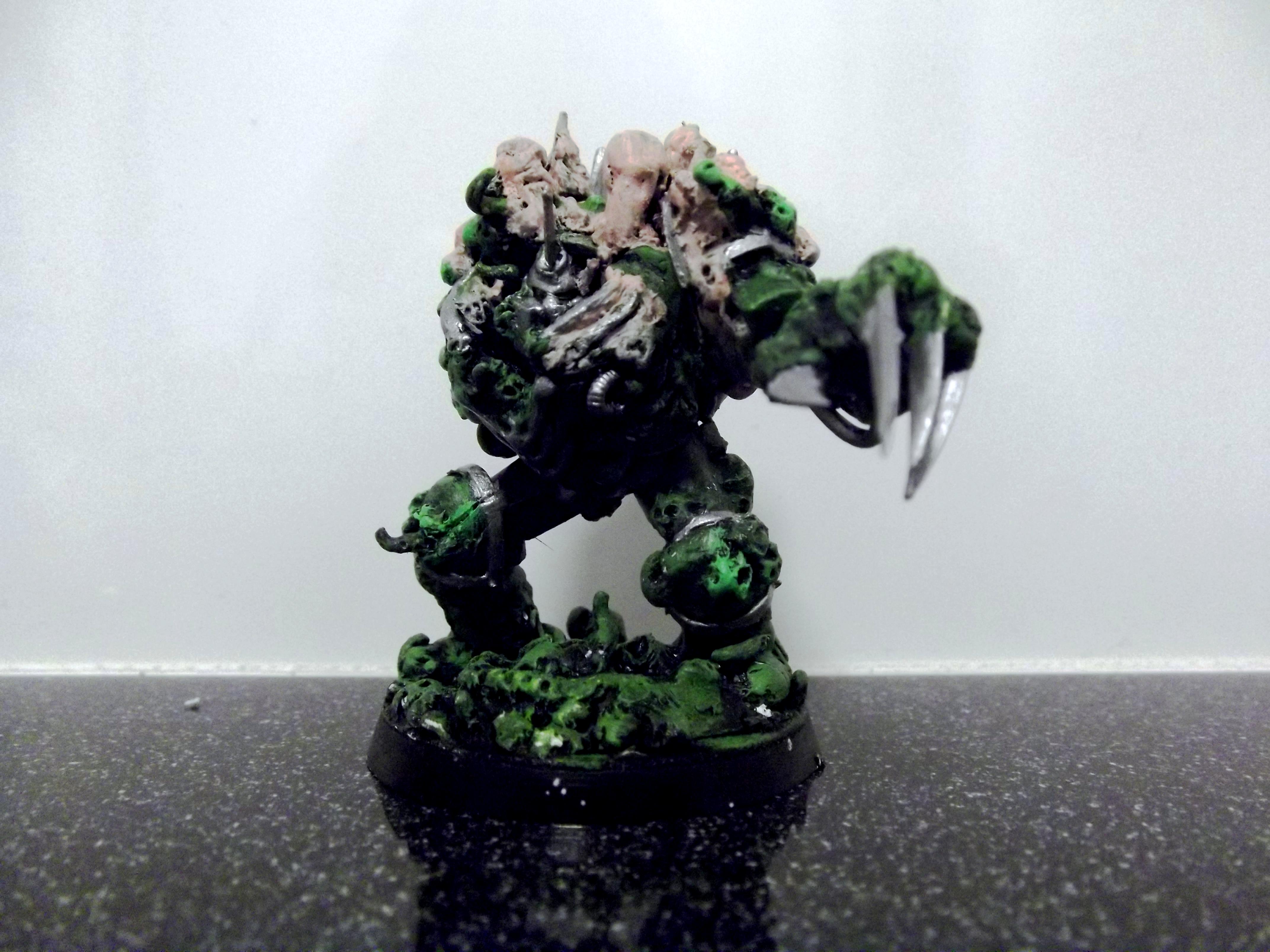 Typhus Conversion