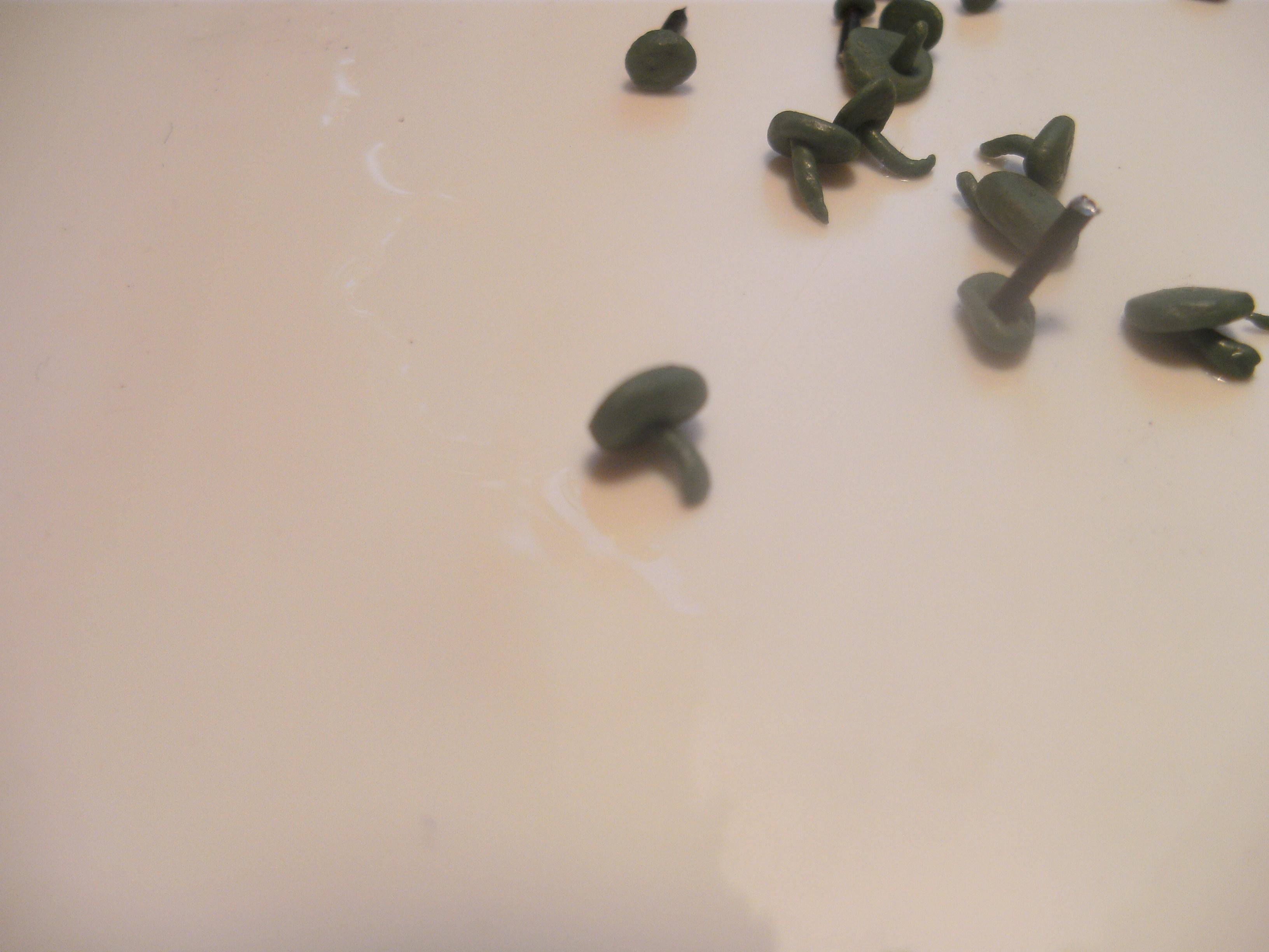 Mushrooms And Bases