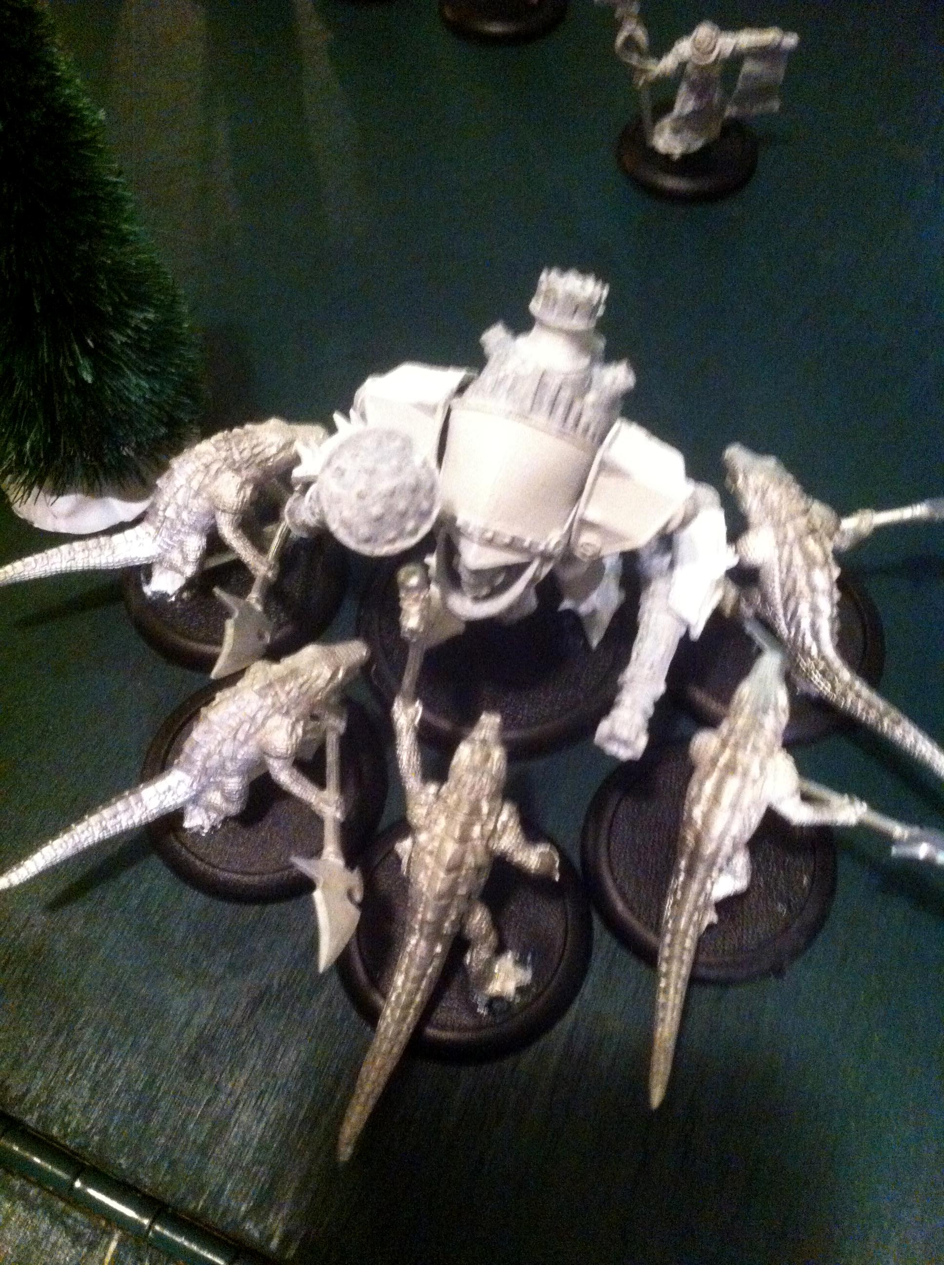 Gator Posse