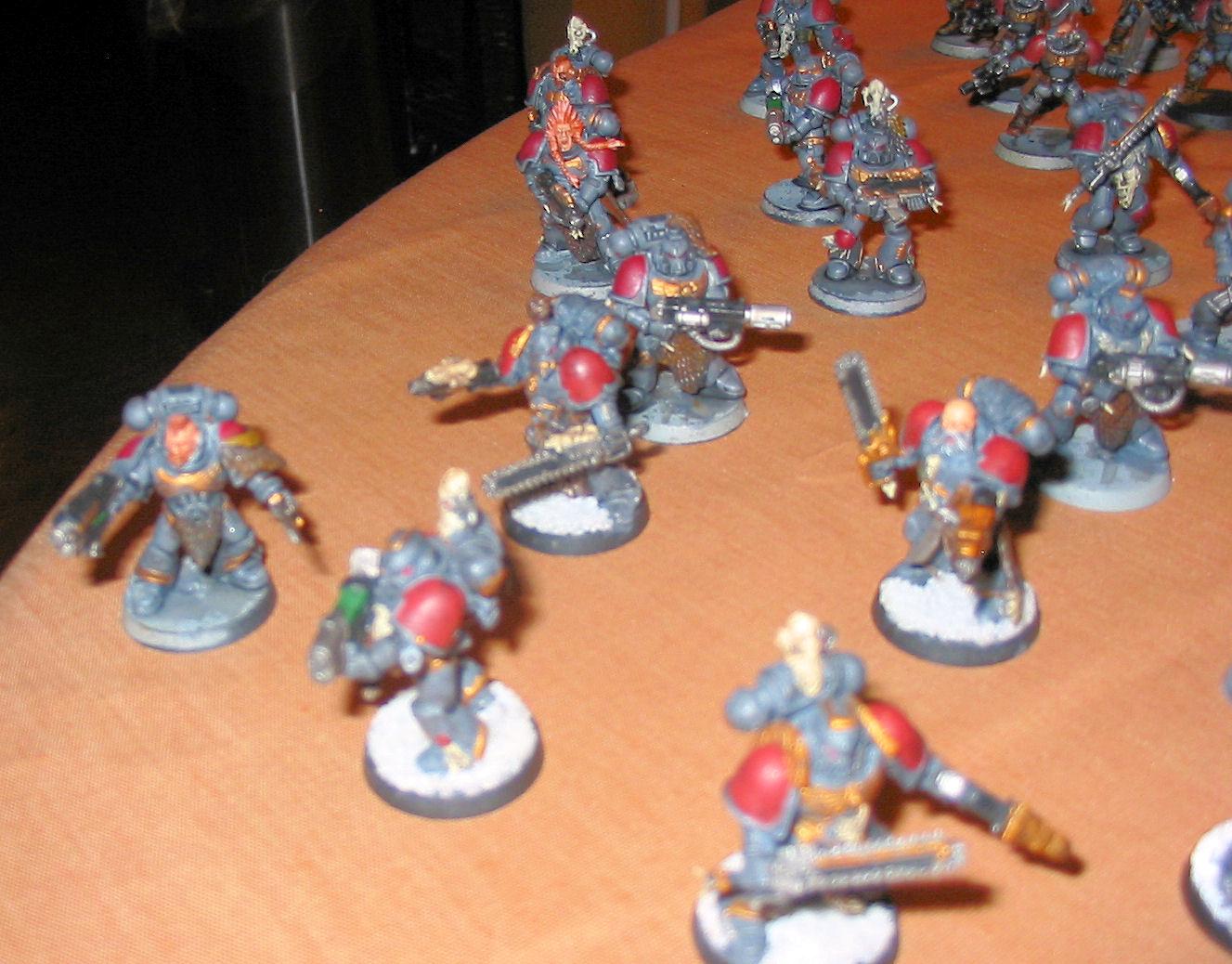 Grey Hunters, Space Wolves