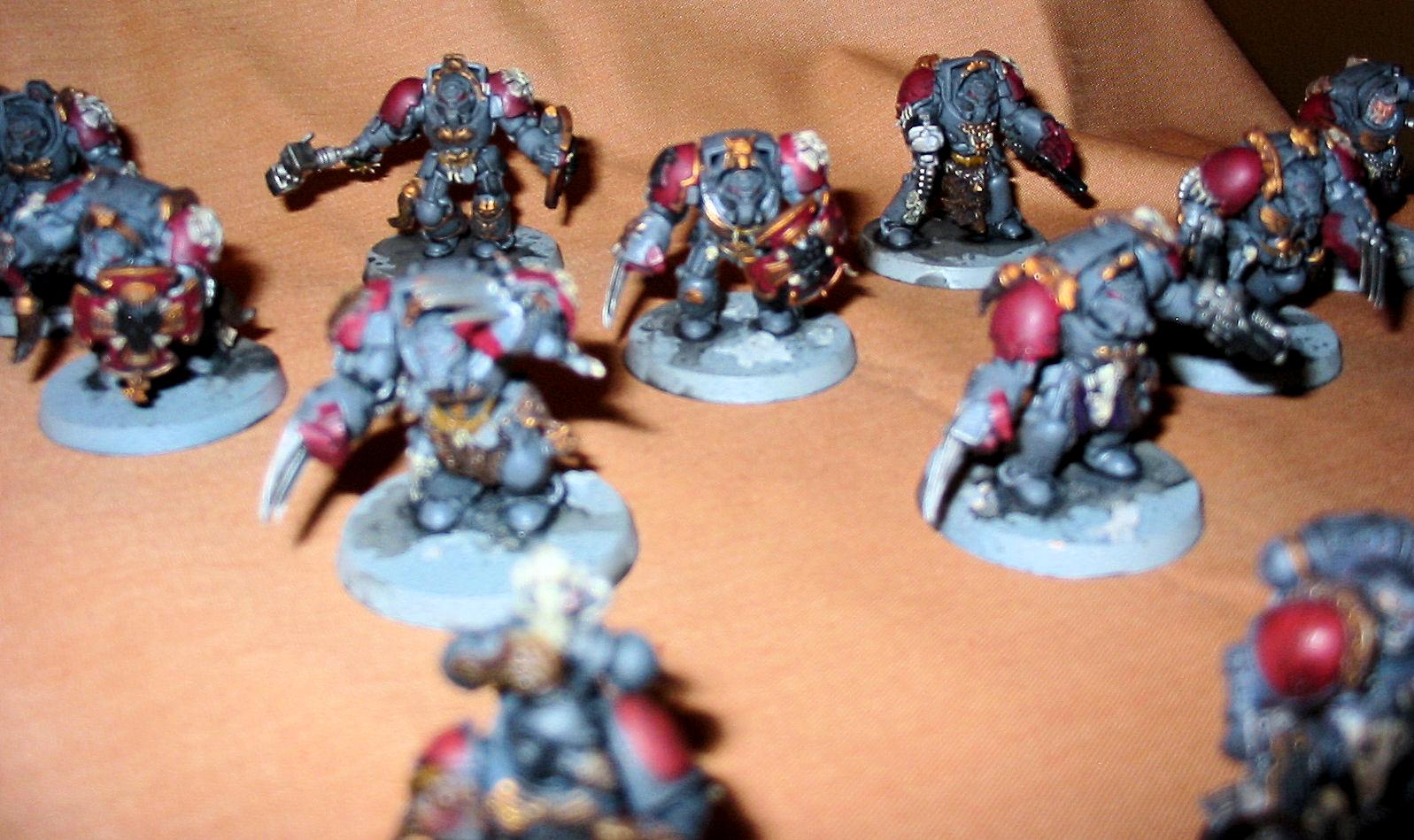Space Wolves, Terminator Armor, Wolf Guard