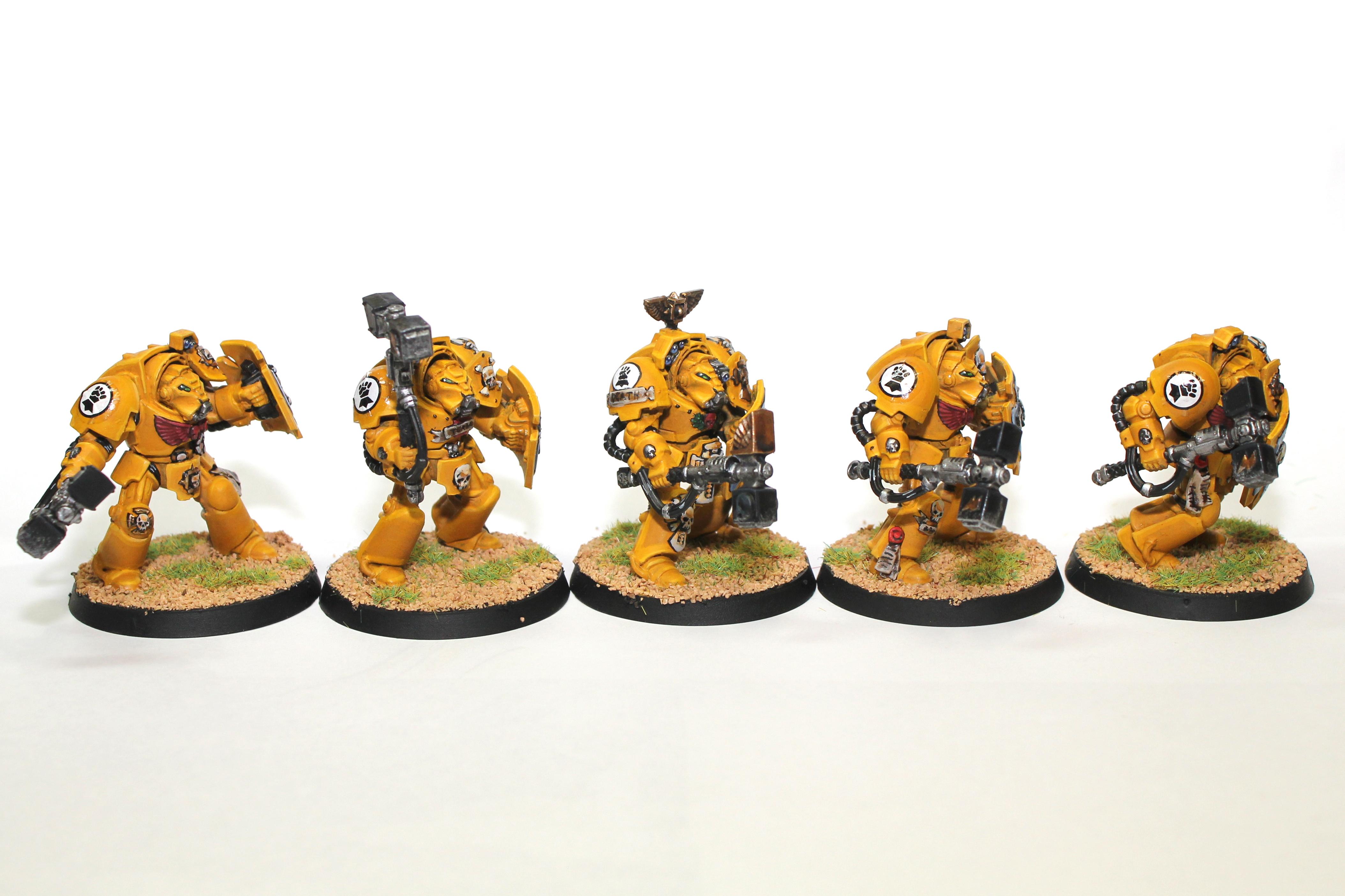 Imperial Fists, Space Marines