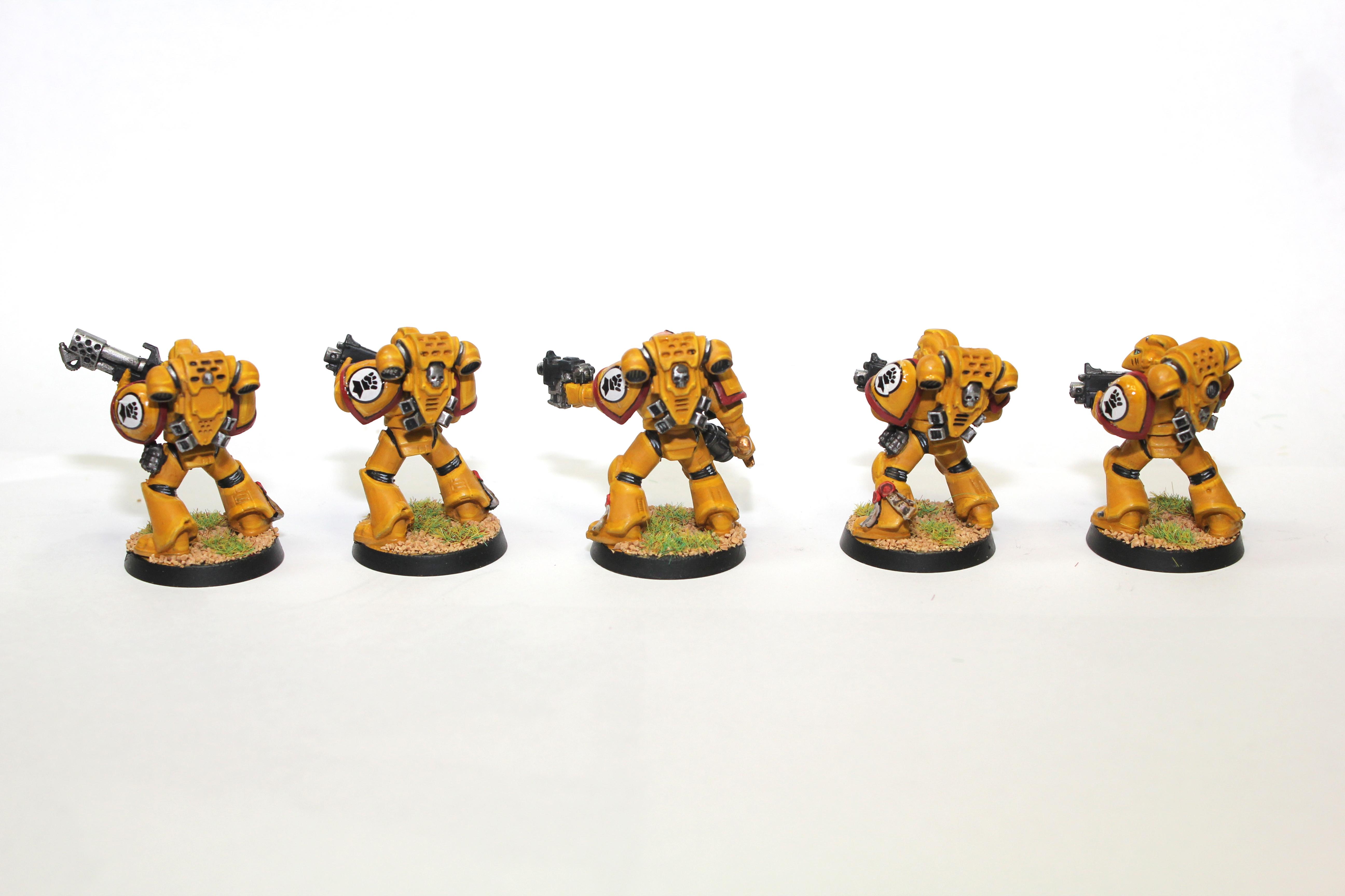Imperial Fists, Space Marines