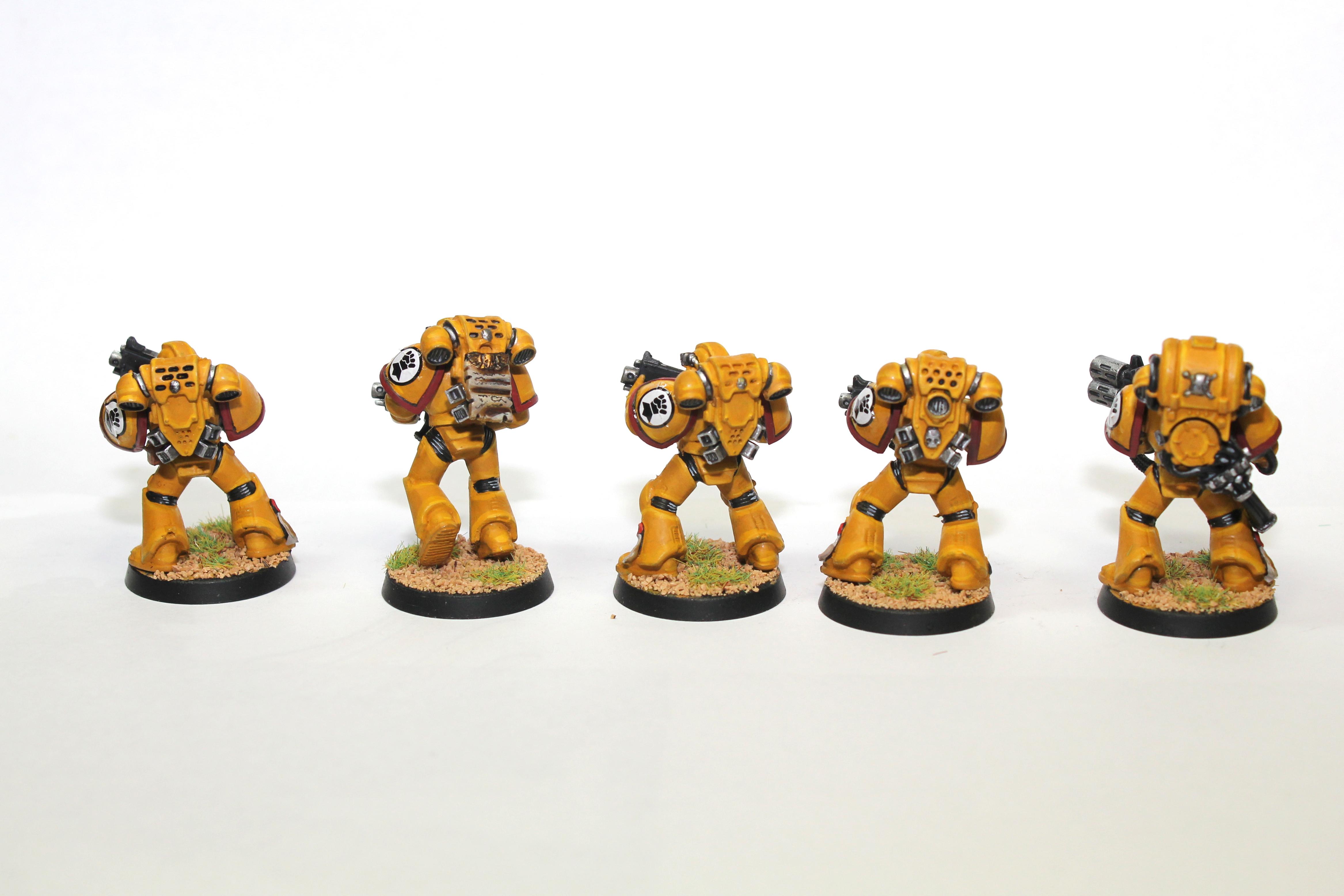 Imperial Fists, Space Marines
