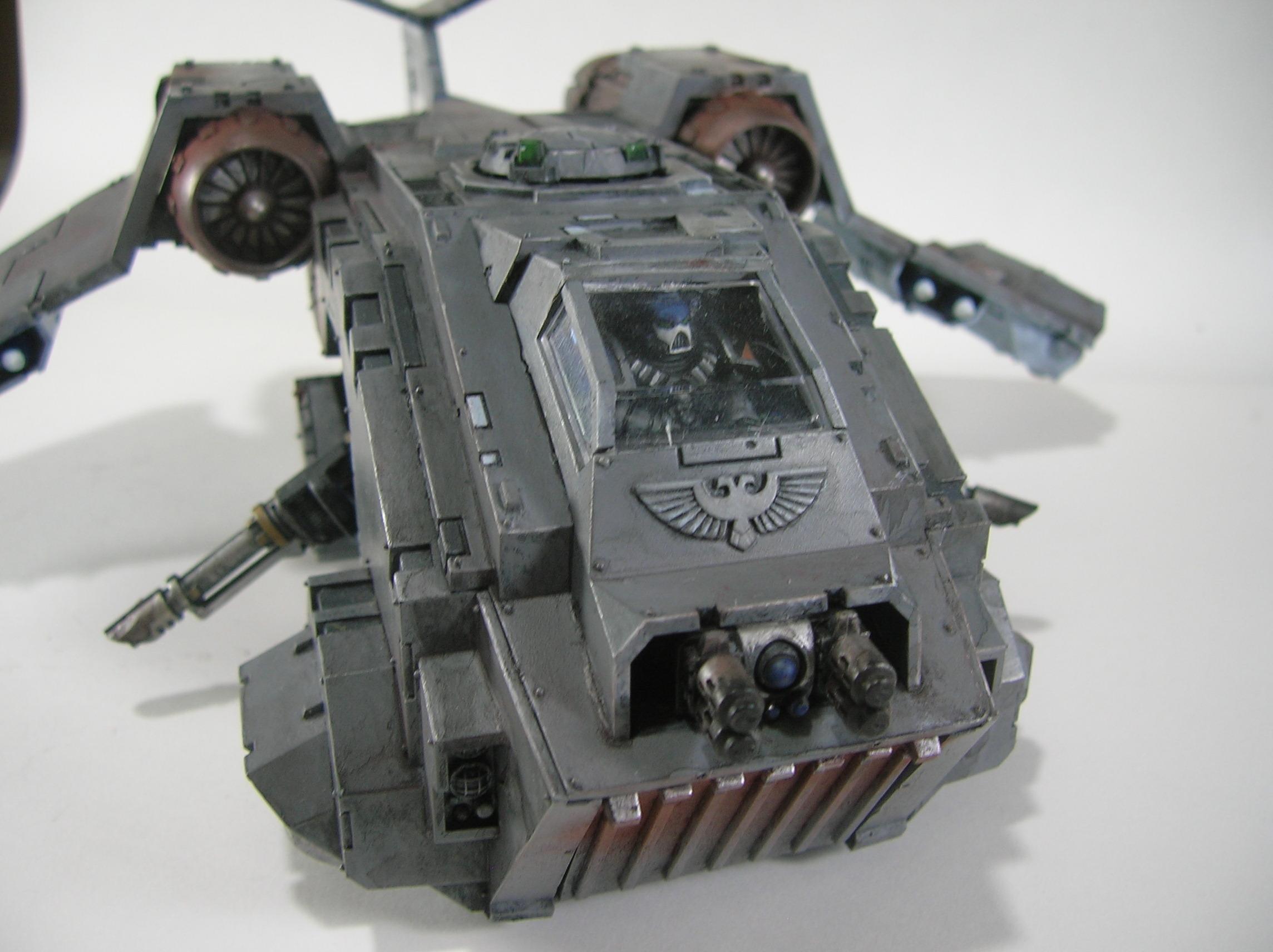 Storm Raven