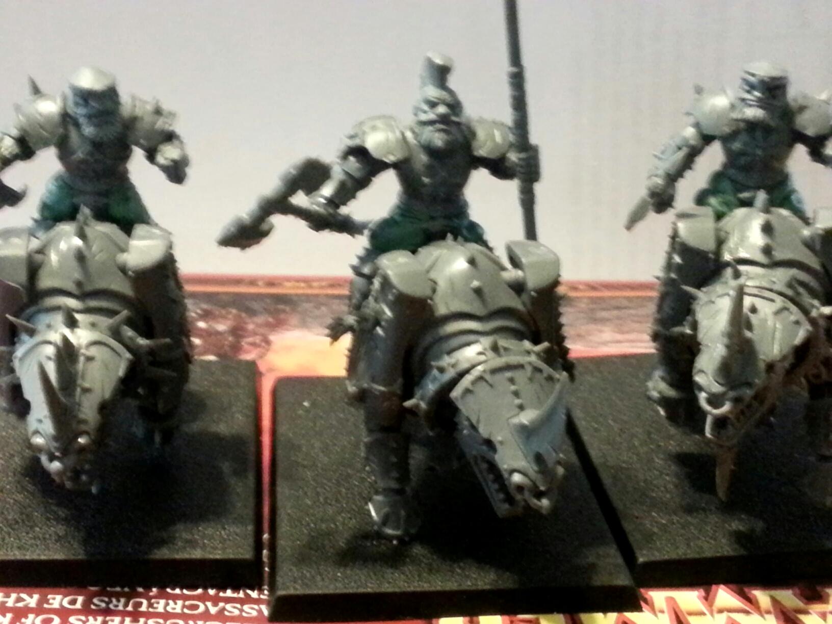 Cataphractii1