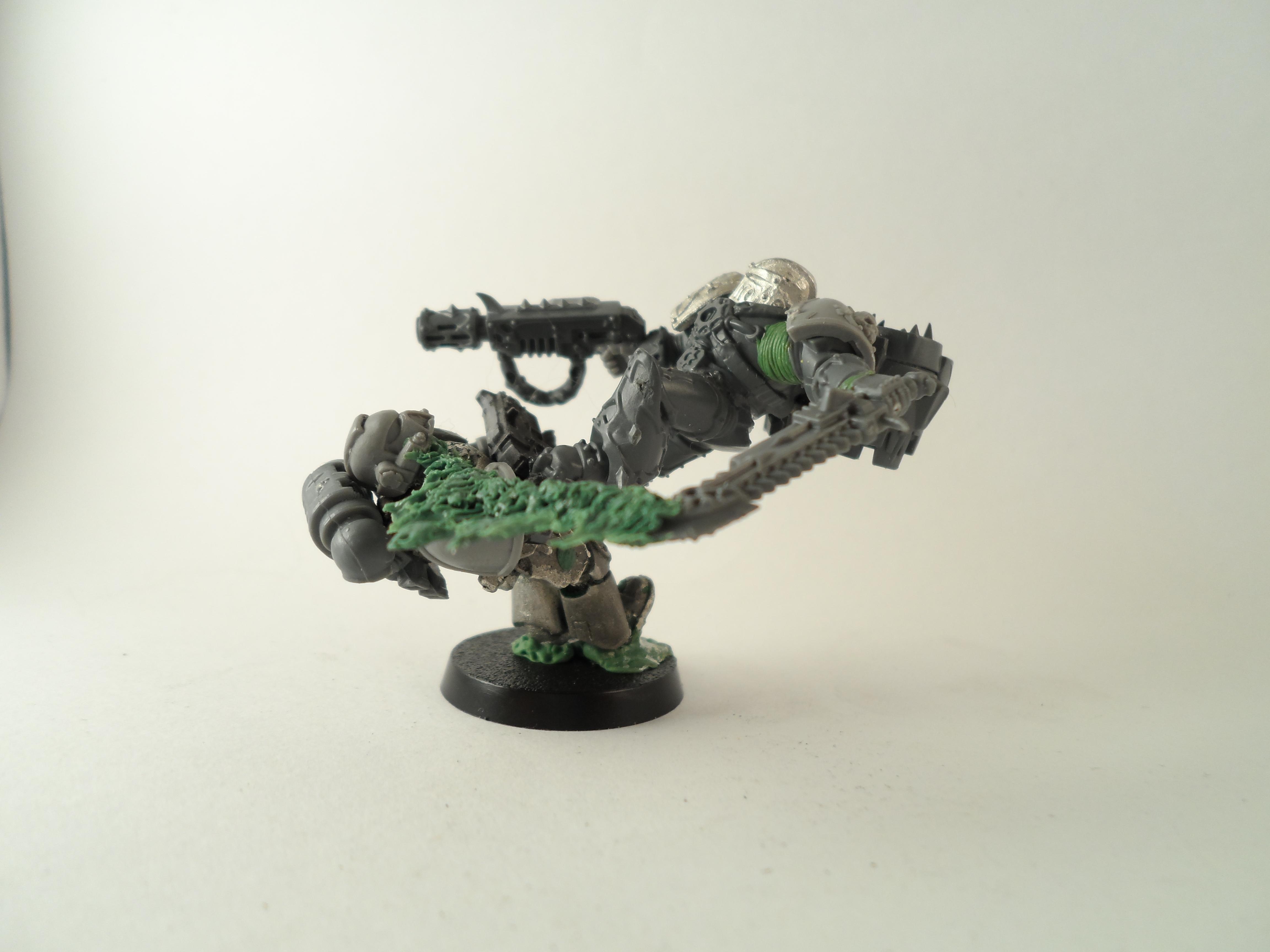 WIP Raptors
