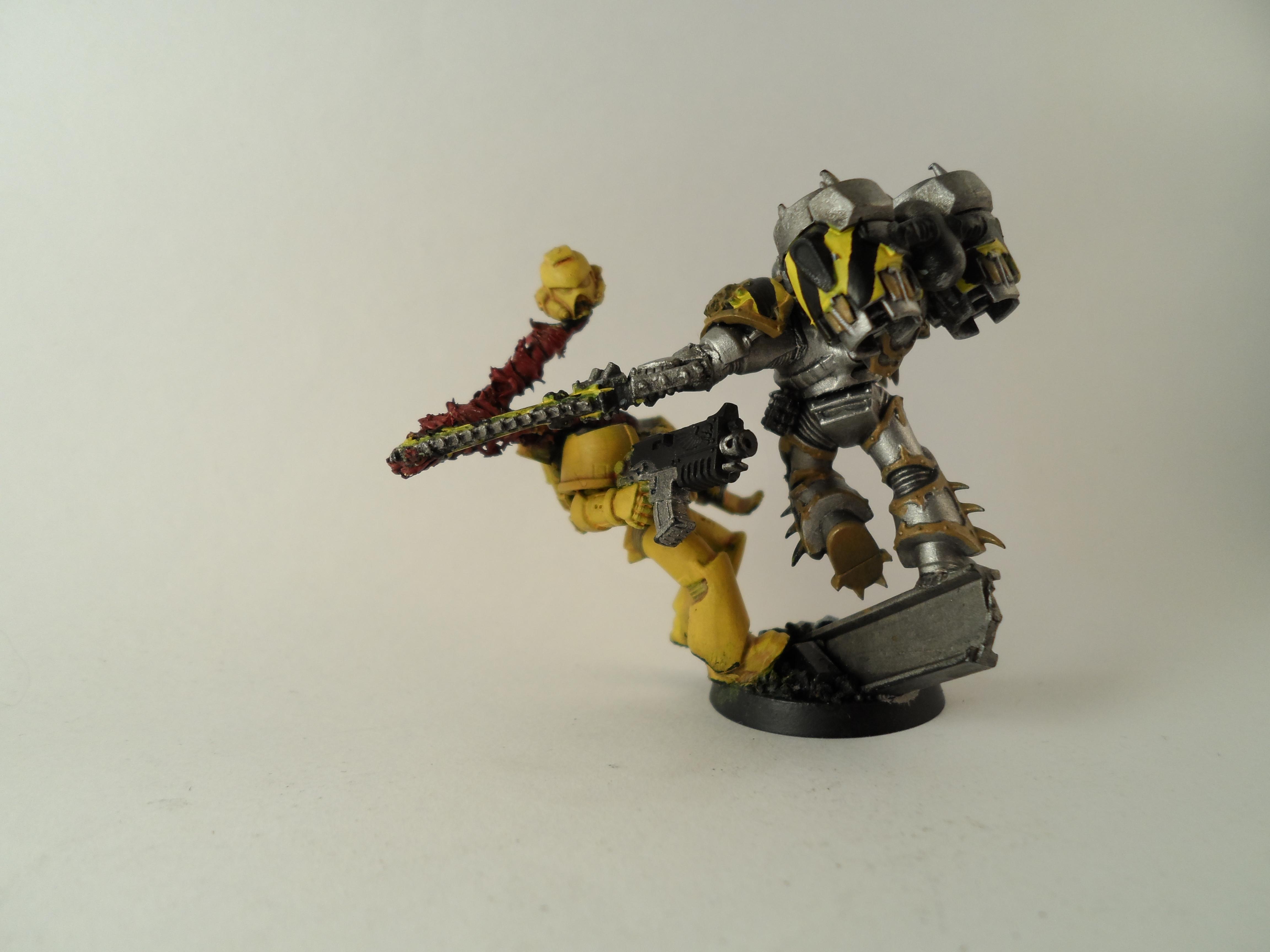 WIP Raptors
