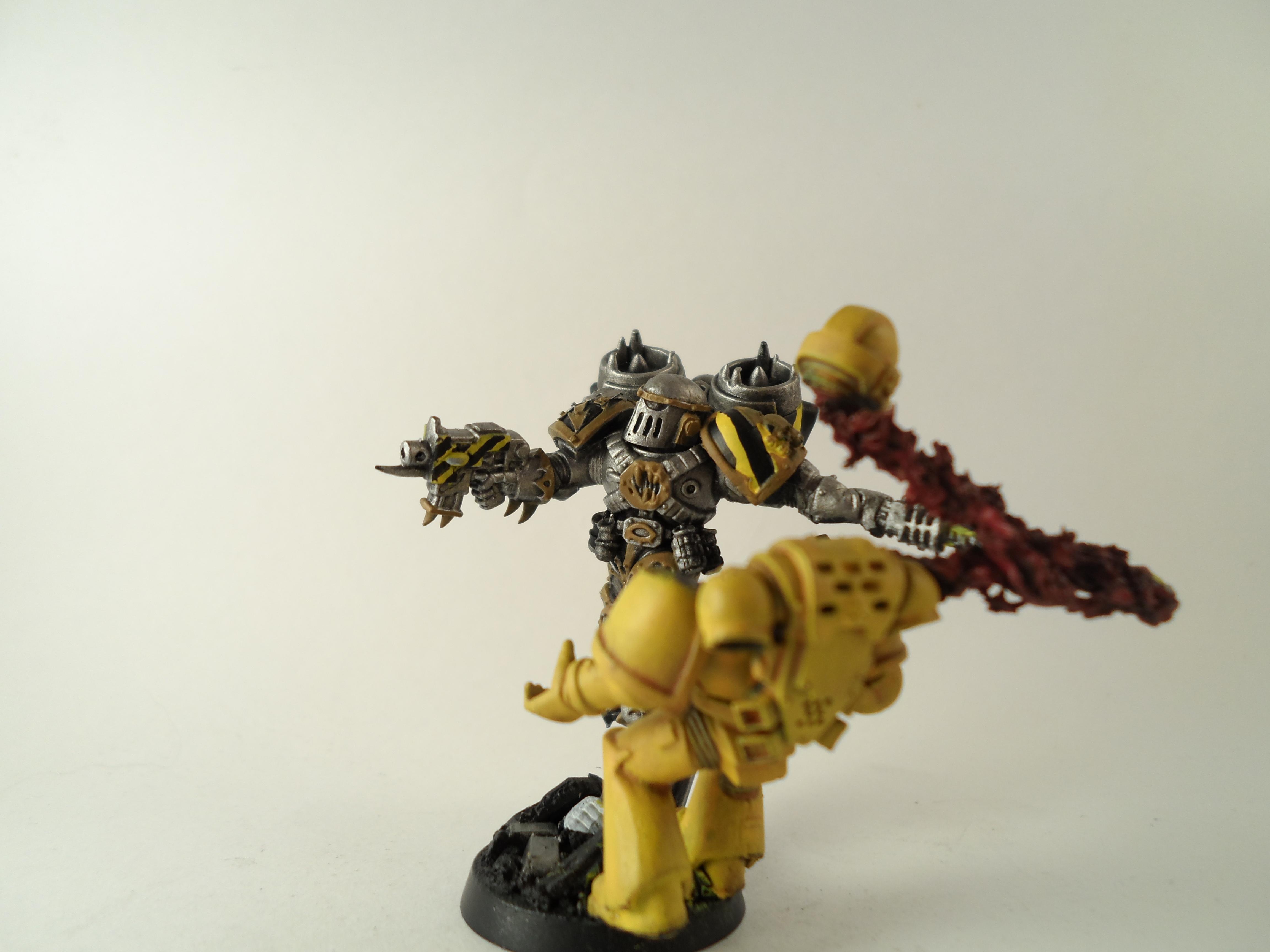 WIP Raptors
