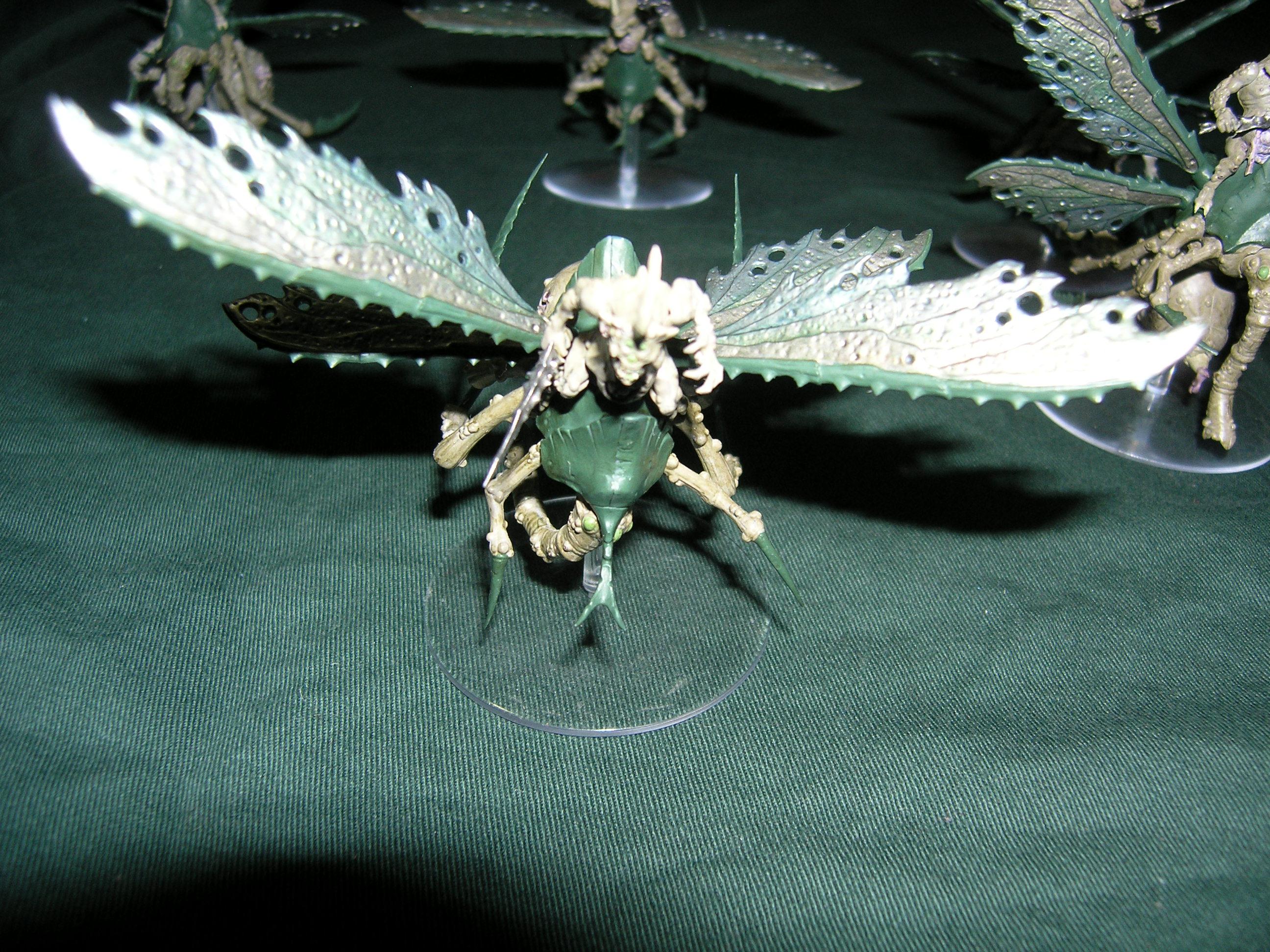 The Blightswarm 5