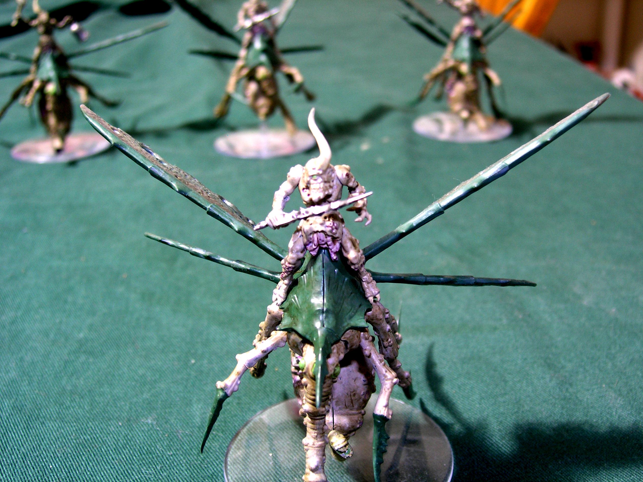 The Blightswarm 17