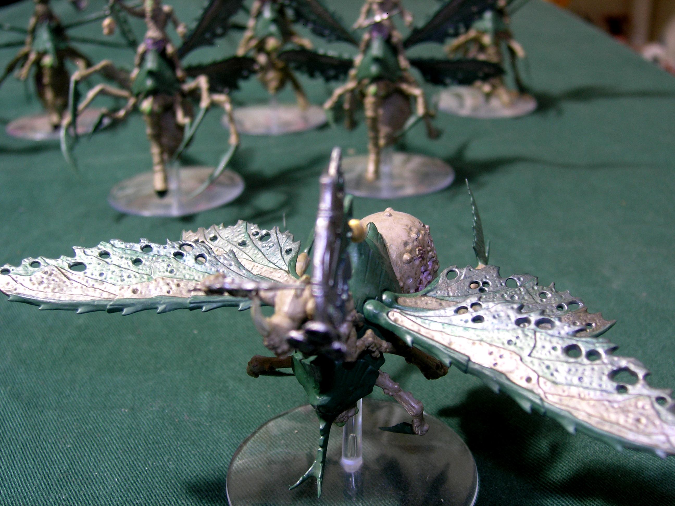 The Blightswarm 20