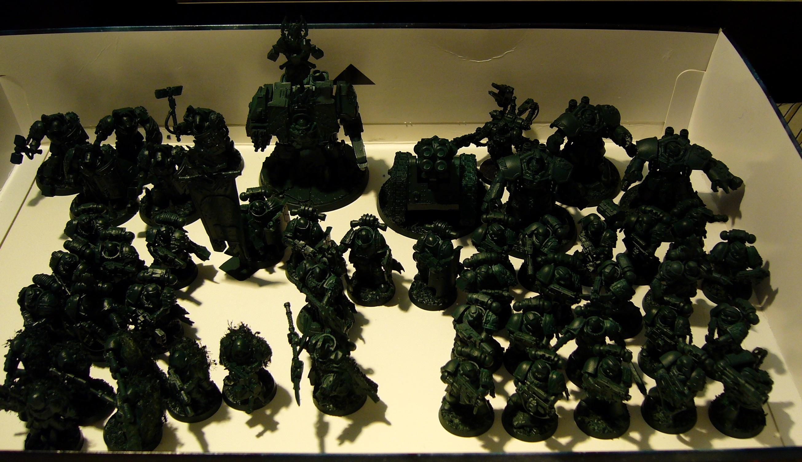 Salamanders WIP