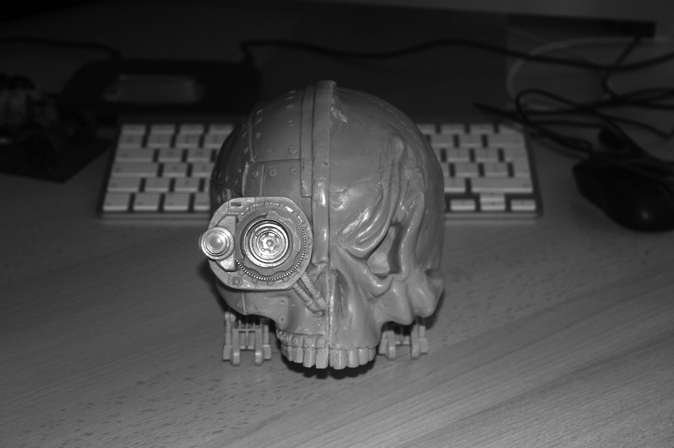 Companion Skull 1 pic1